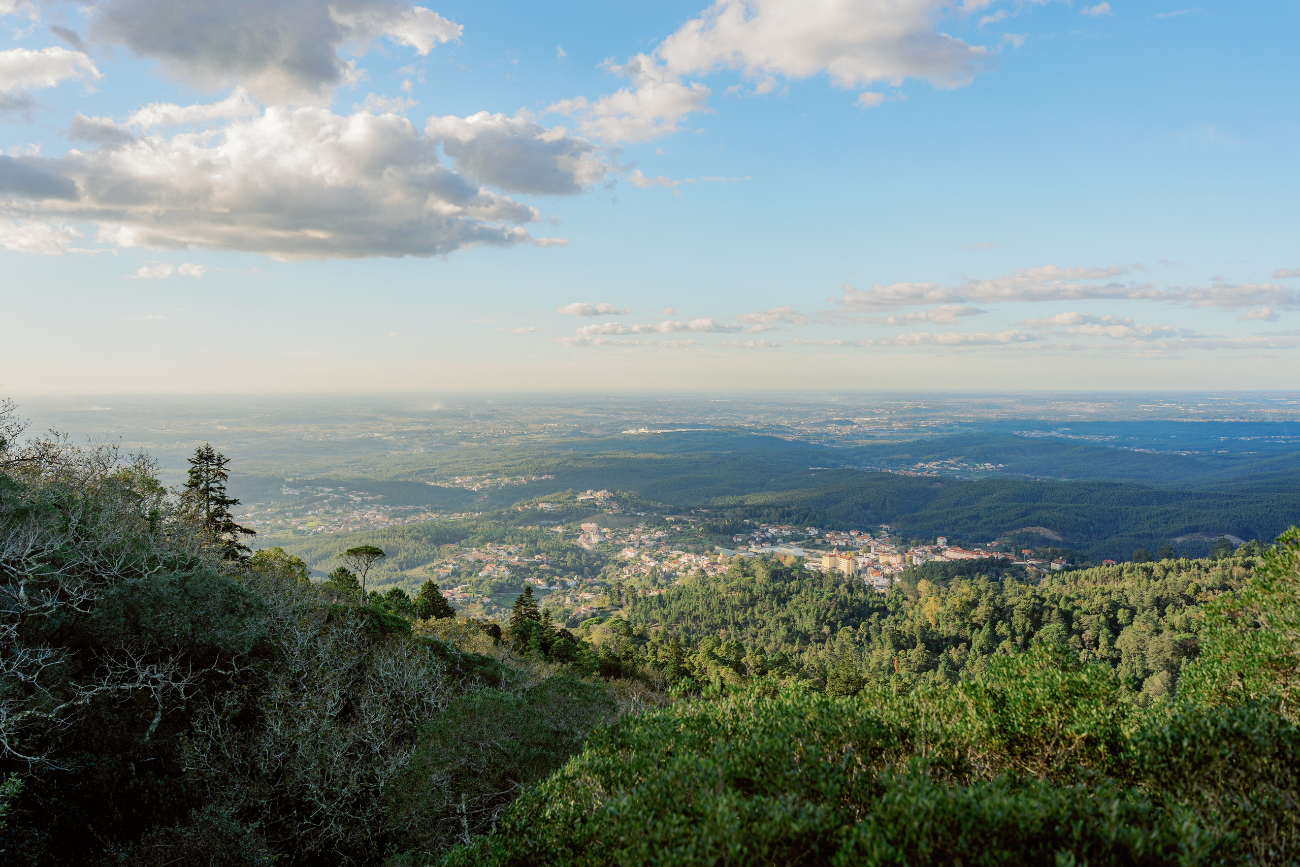 Бусаку — скрытая жемчужина Байррады