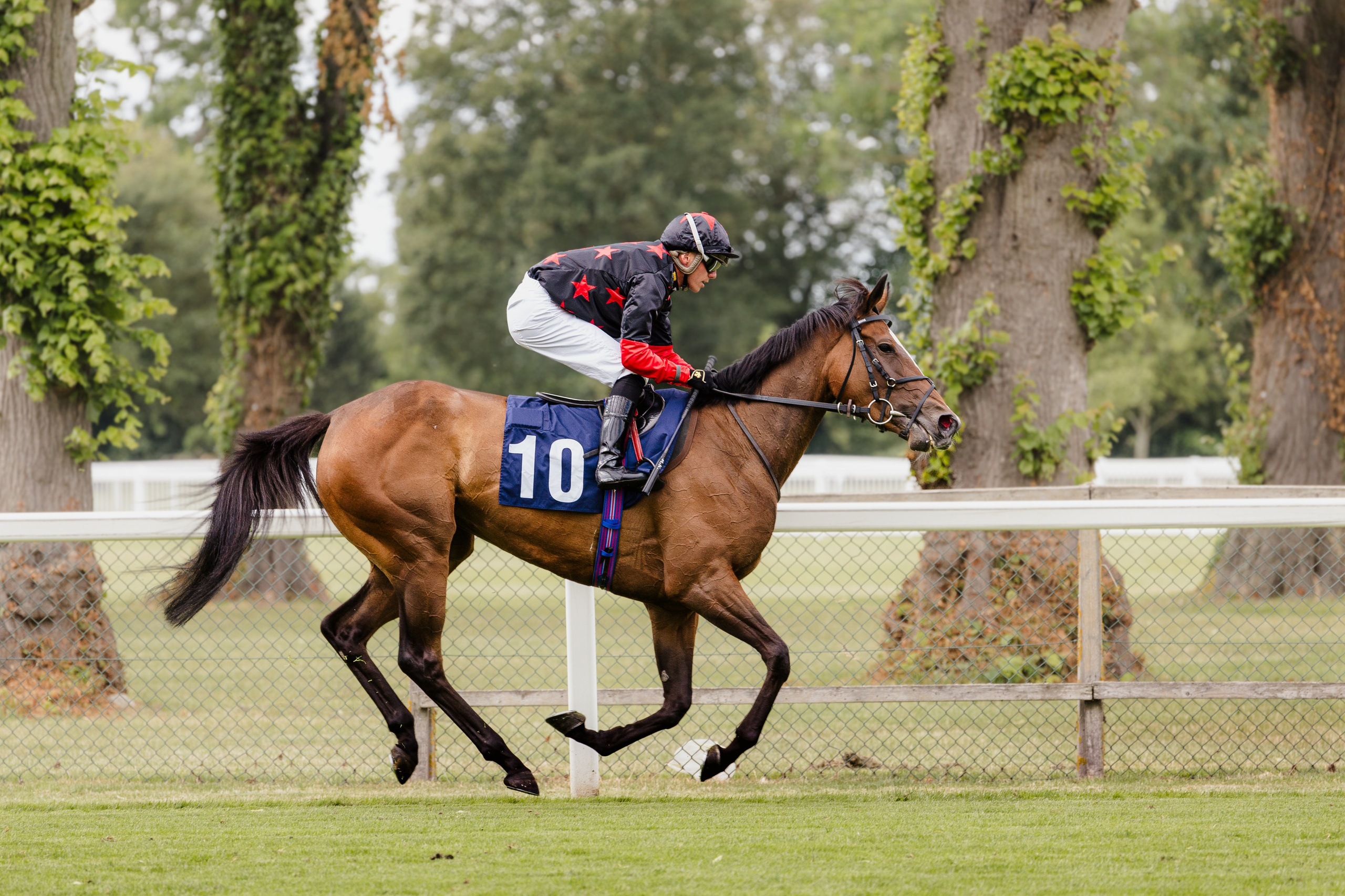 40th Birthday — Royal Windsor Racecourse. June, 2023. Timeless Wedding & Event Photography — based London, working across Europe