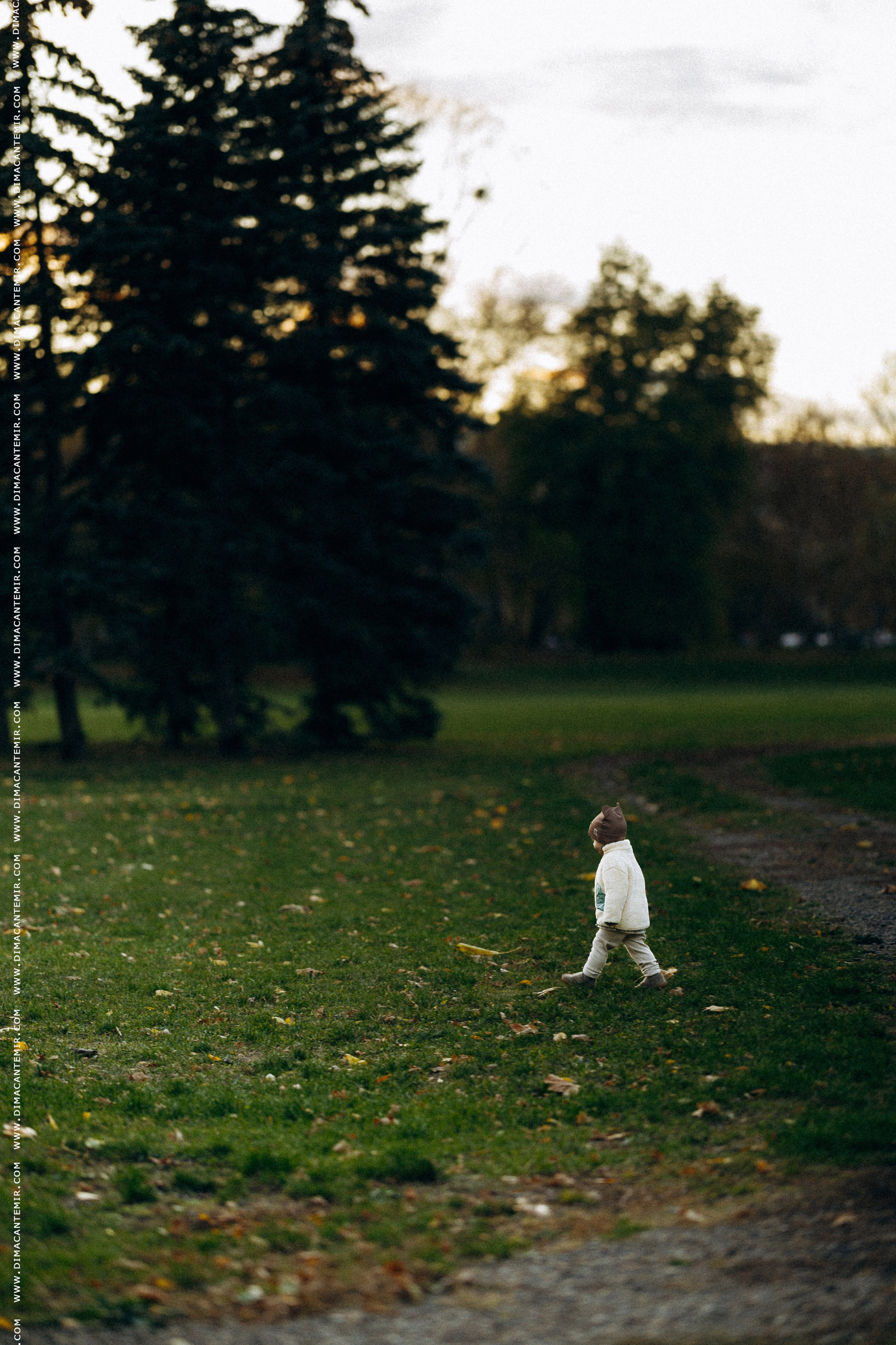 TIMOFEI. Fotograf de nuntă în Chisinau, Moldova. Poze și Video Comerciale