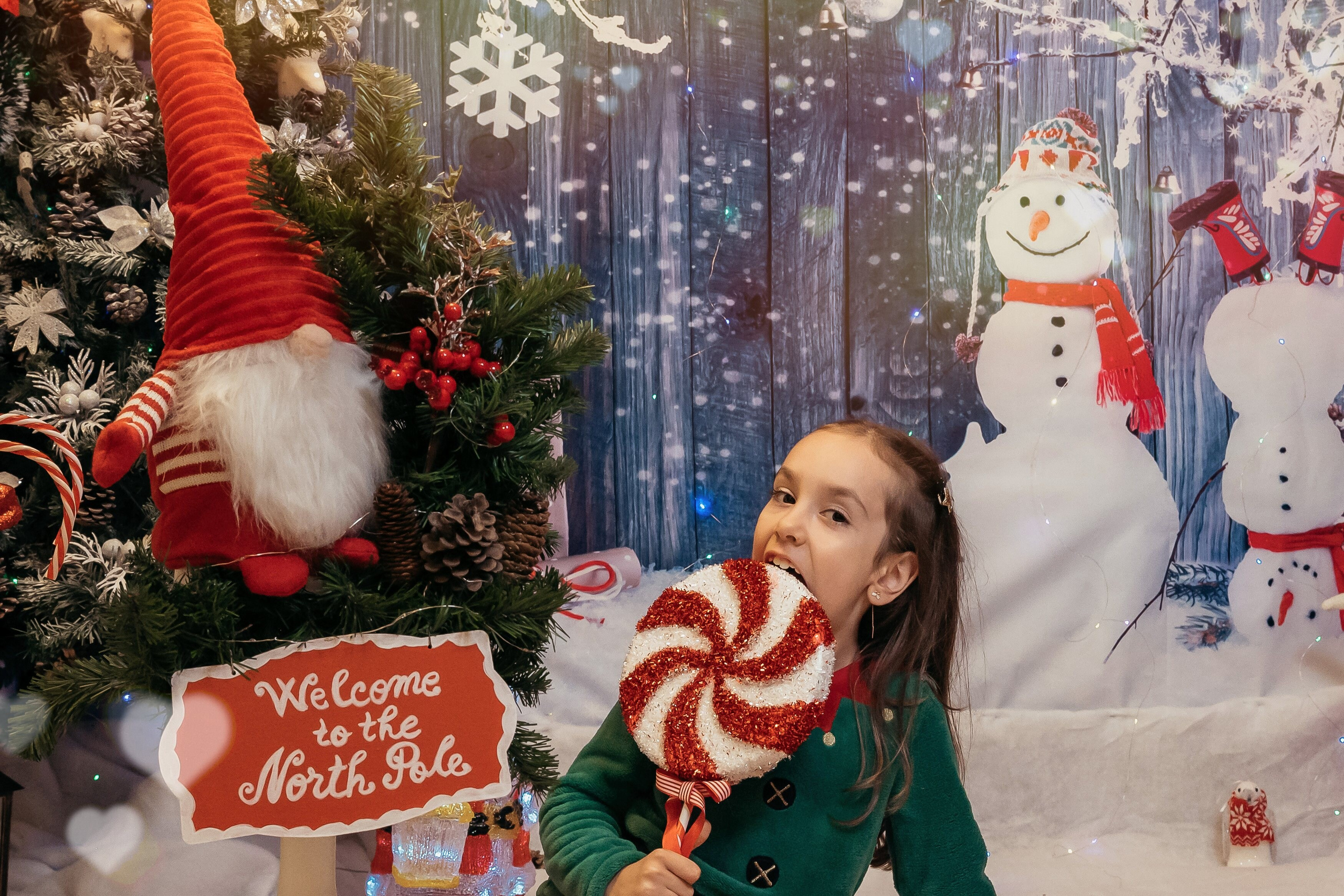 Sedinta Craciun Sofia