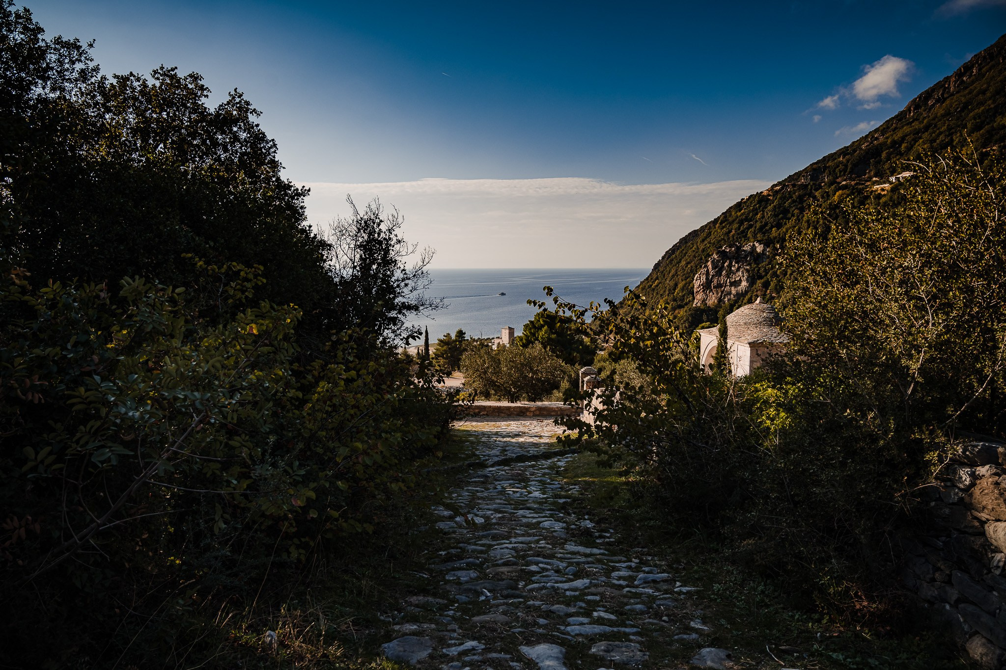 Pilgrim. Fotograf de nuntă Belgia - Stefan Bogdan | Fotograf roman