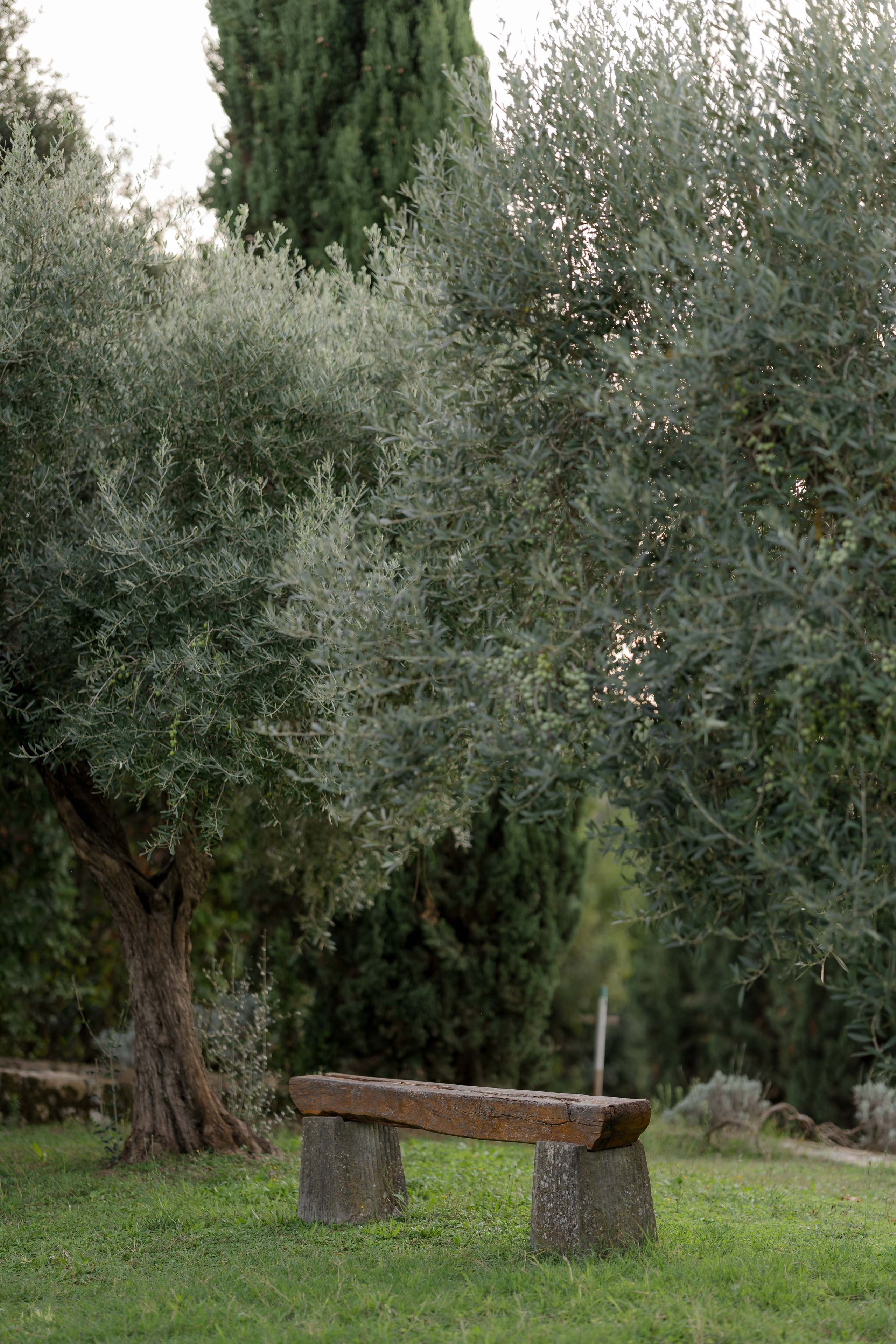 Dom&Ally. Wedding photographer Italy