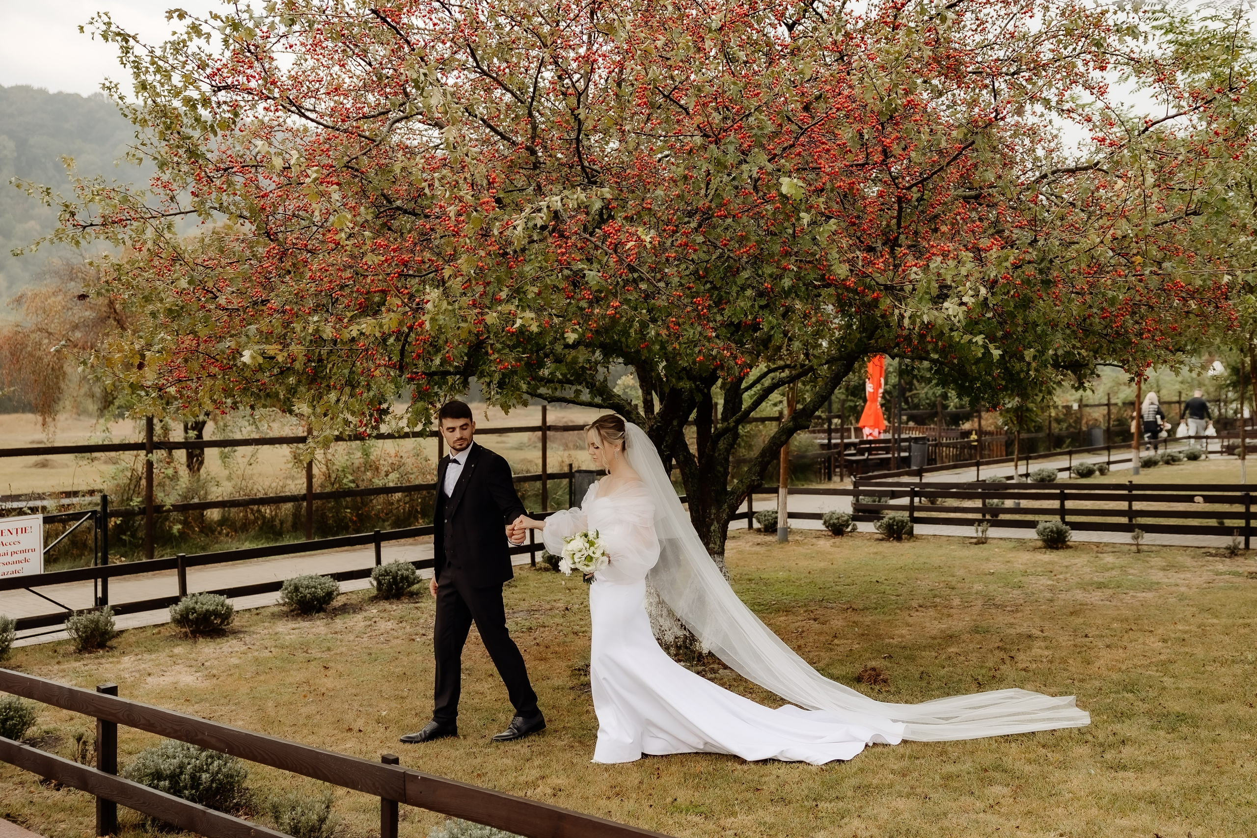 Nunta. Servicii Foto/Video