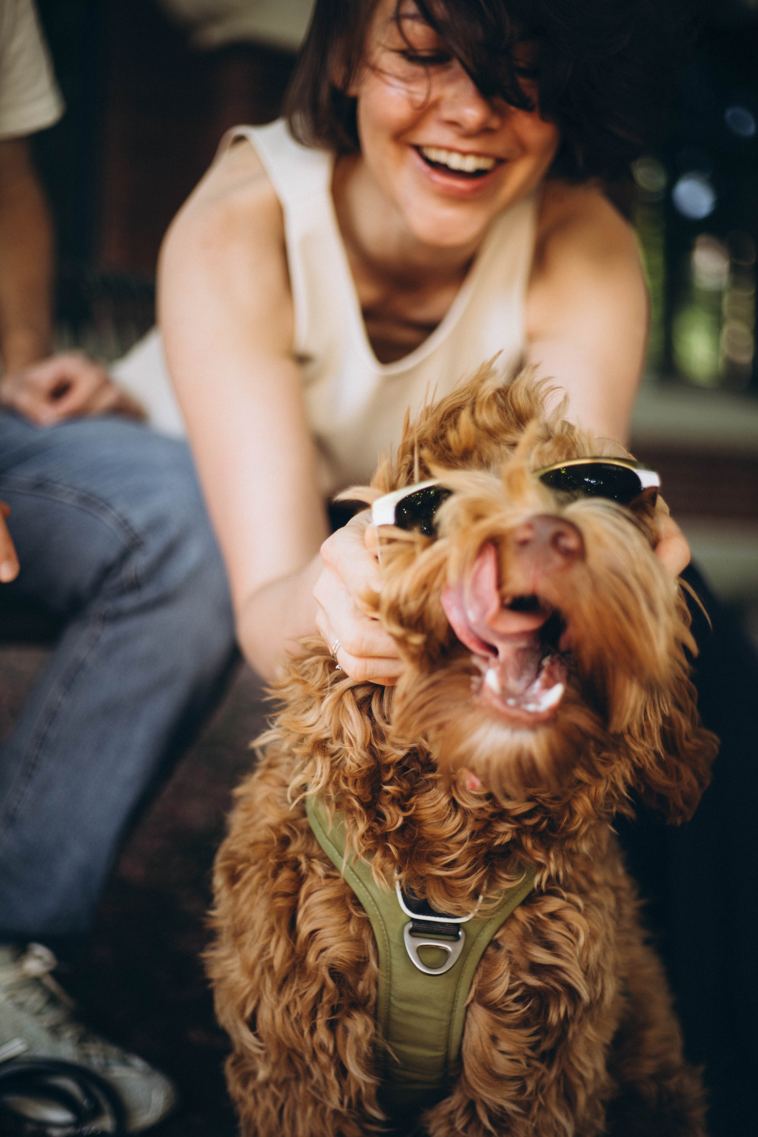 Pets. Photographer Düsseldorf, Cologne, NRW — Kristina Braudo