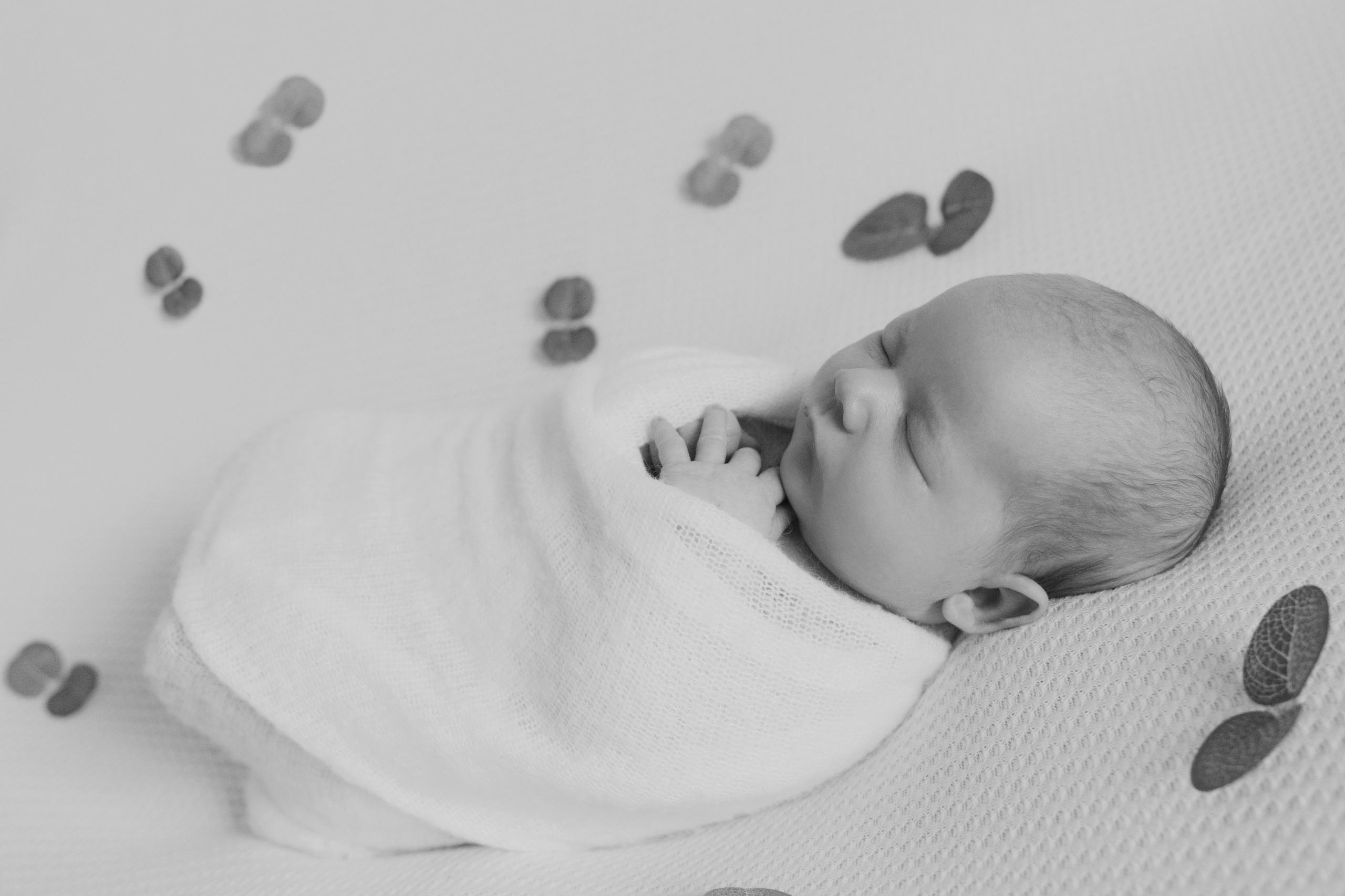 Maternity Newborn and Family photographer Hamburg Claire Hambley