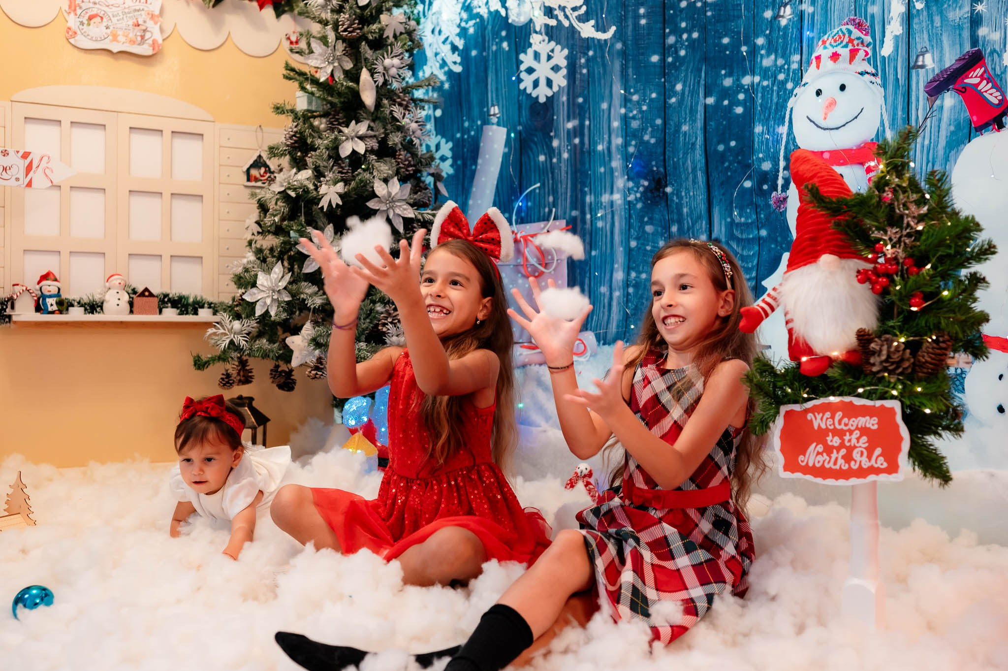 Sedinta Craciun Alina