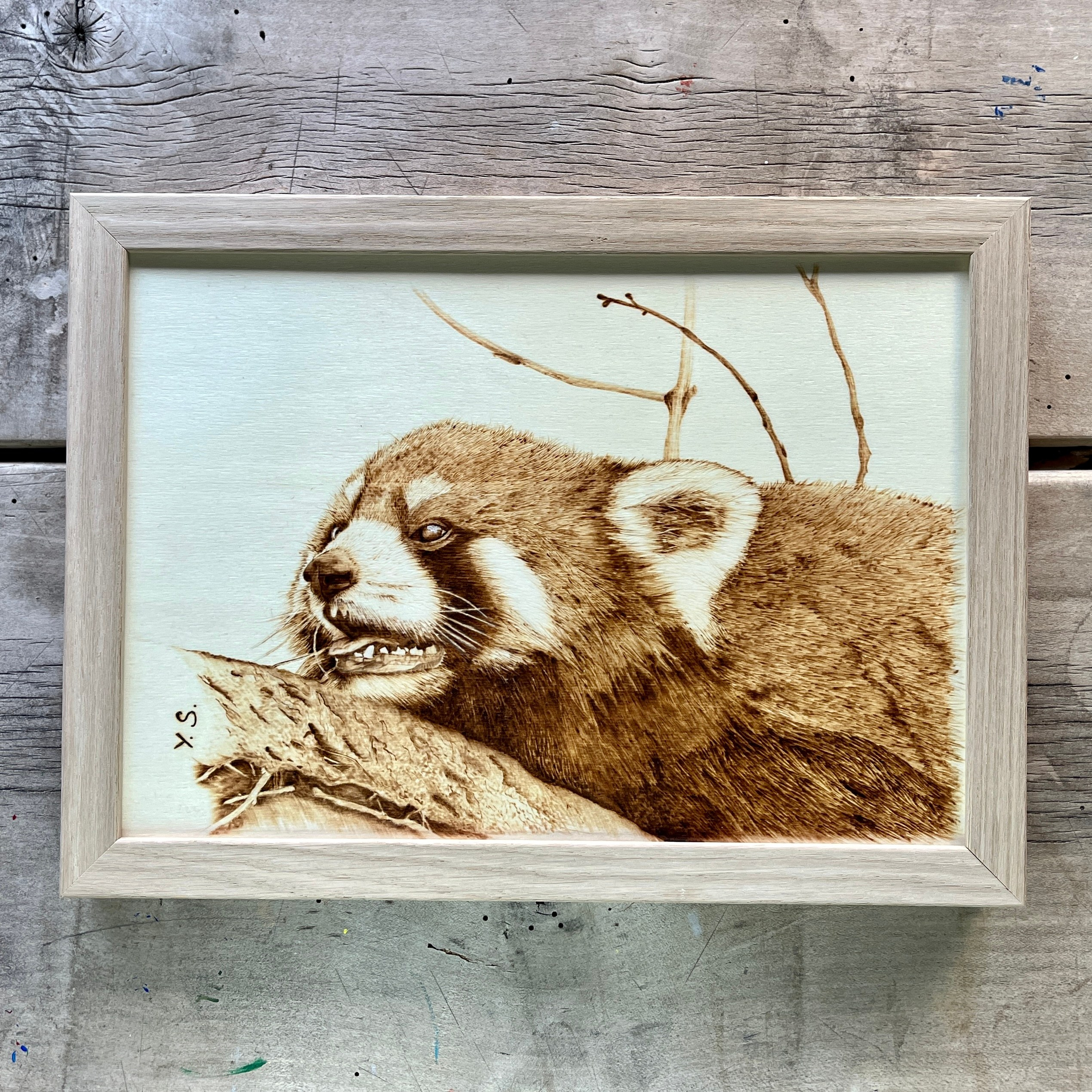 Slike po naročilu. Numerologija. Nevrografika. Delavnice