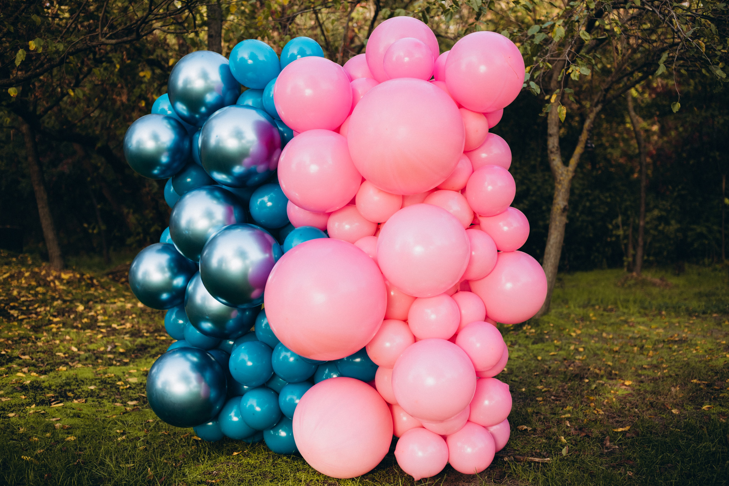 Katrin & Sergey. Wedding and Family Photograph