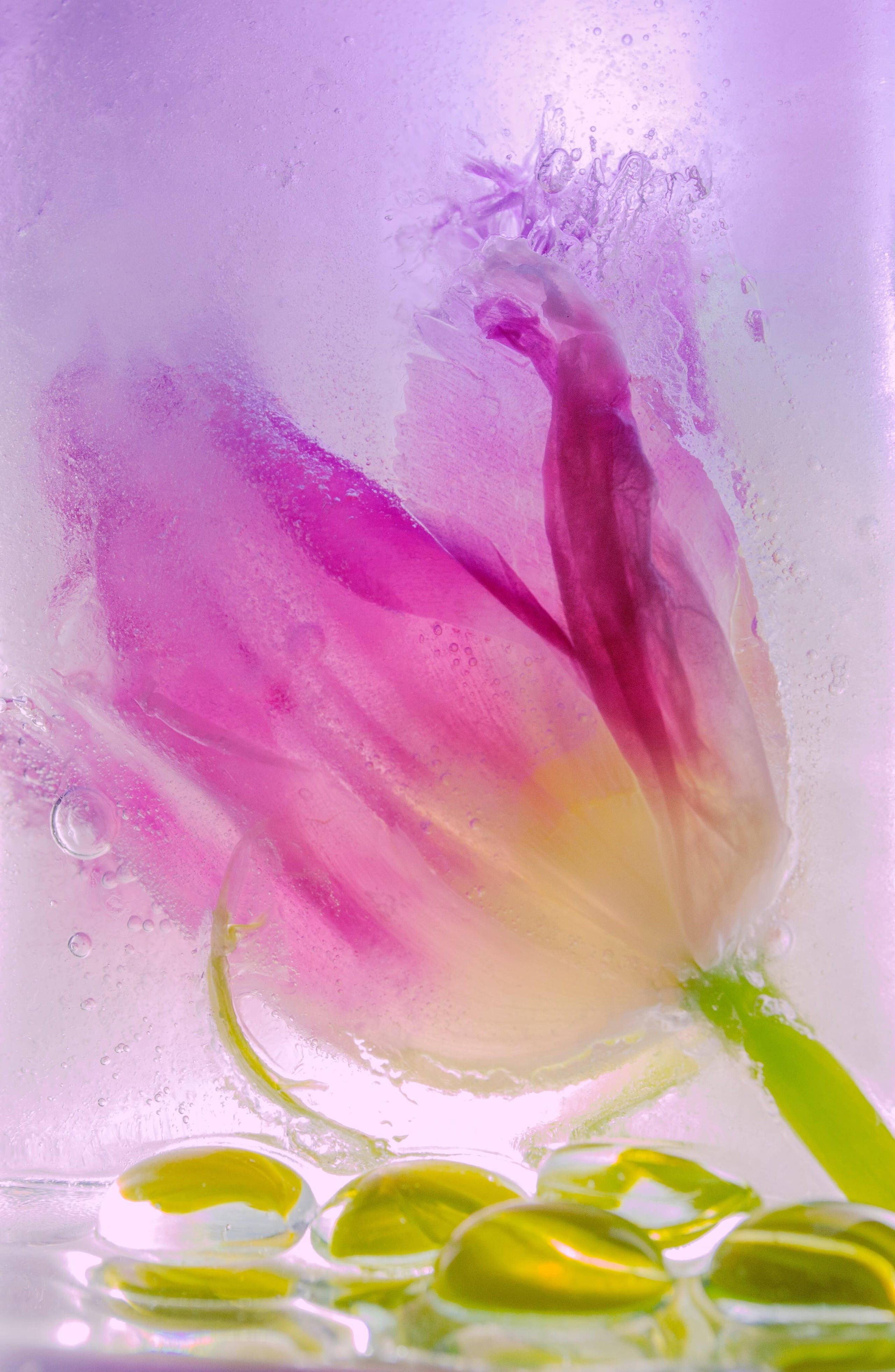 Работы учеников Школы Фотографии Романа Рыбалёва. Школа Фотографии Романа Рыбалёва. Город Кишинёв, Молдова