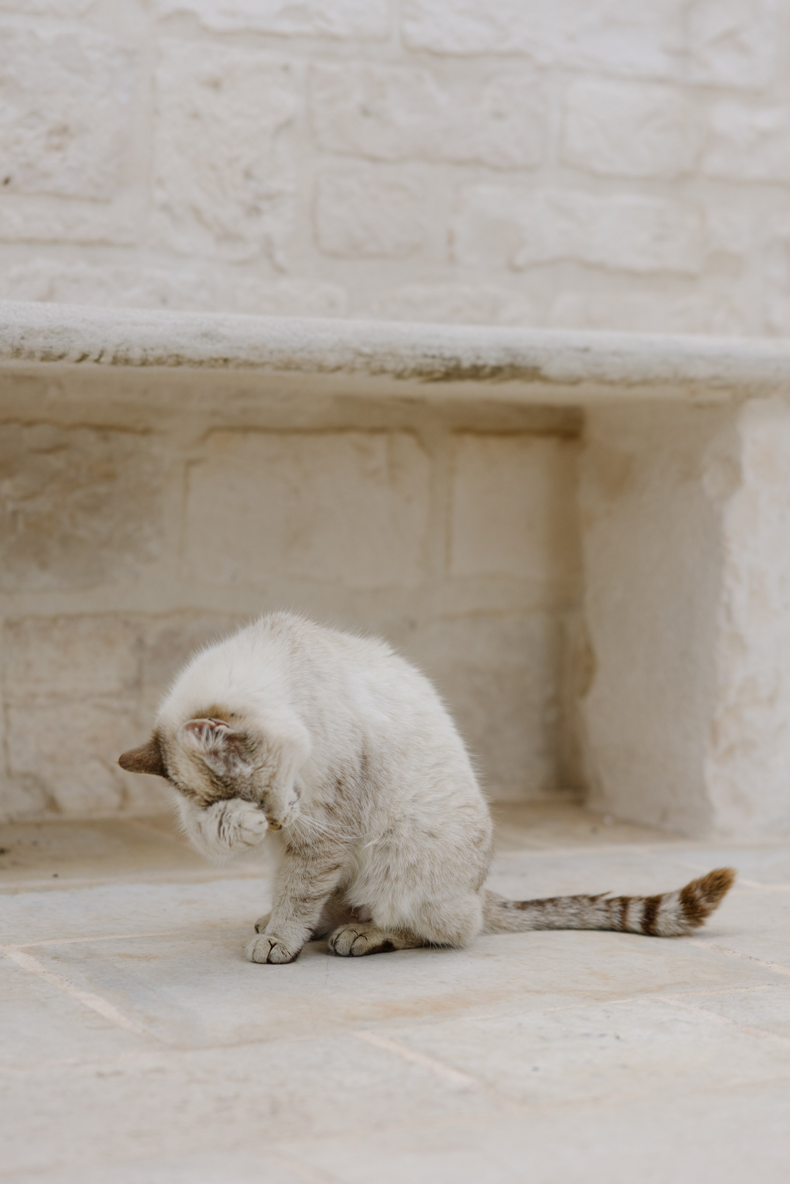 2. Весільний фотограф Вікторія Саврук