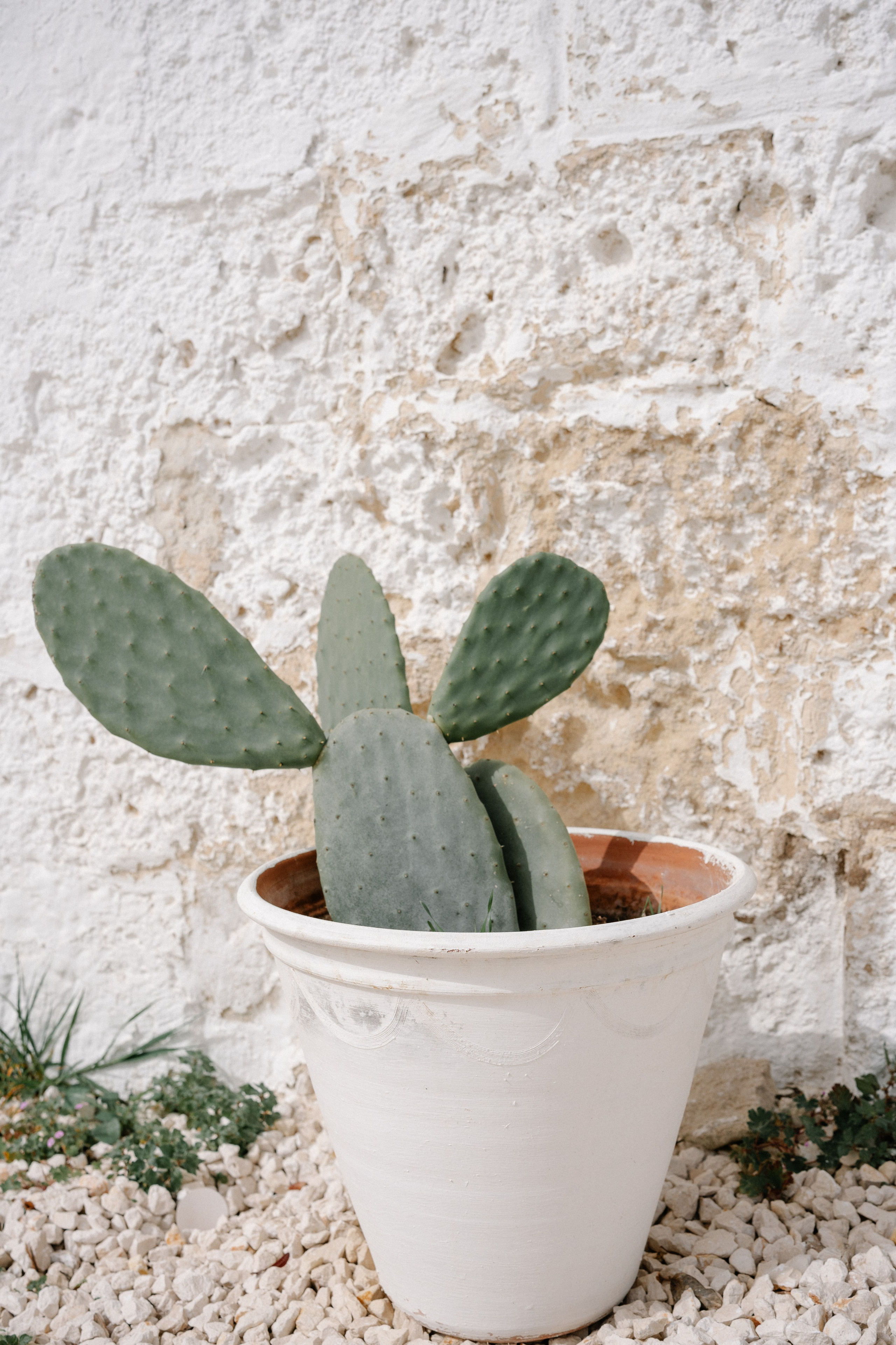 Alyssa&Sean. Весільний фотограф Вікторія Саврук