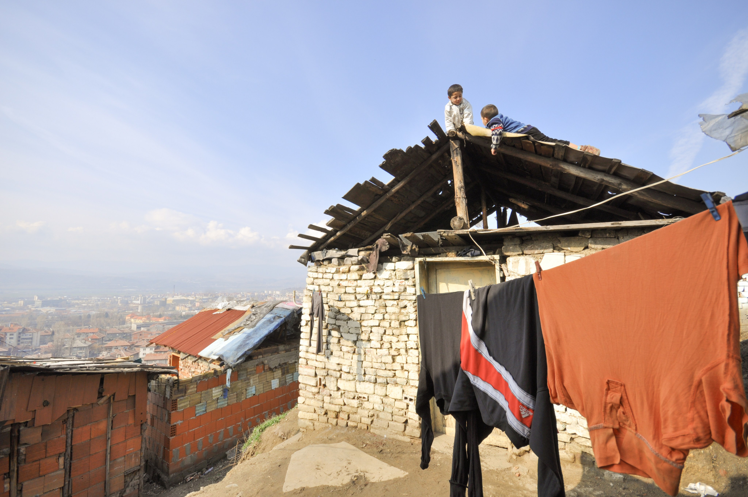 Hope for Cherry Blossom. Mayya Kelova artist