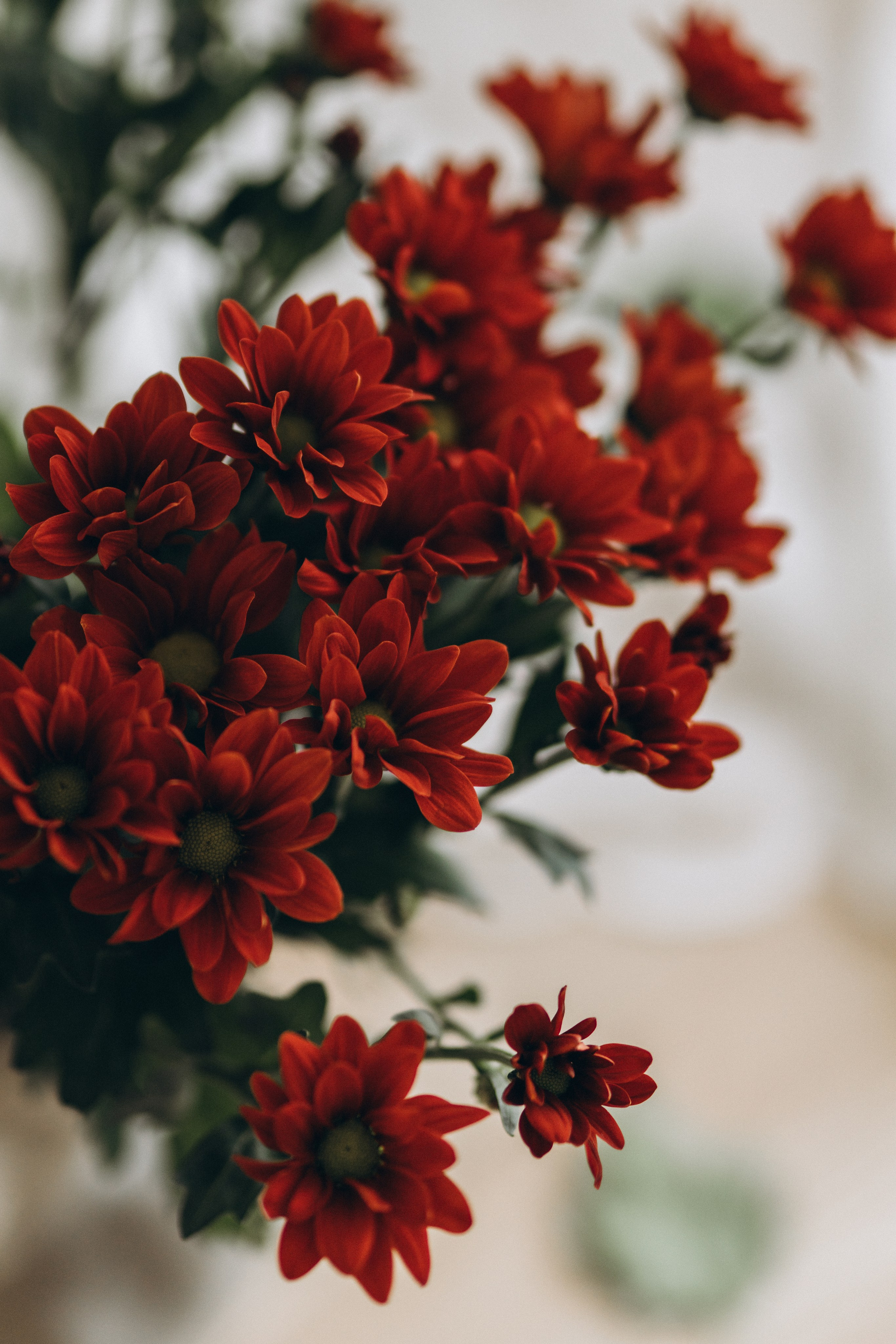 Olga. Wedding and portrait photographer in Helsinki Vickan O