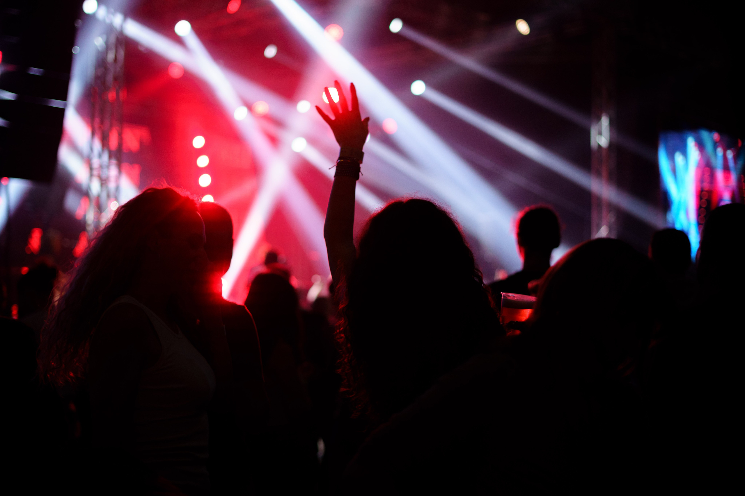 Dani piva u Novom Sadu 2024. Жуков Студио