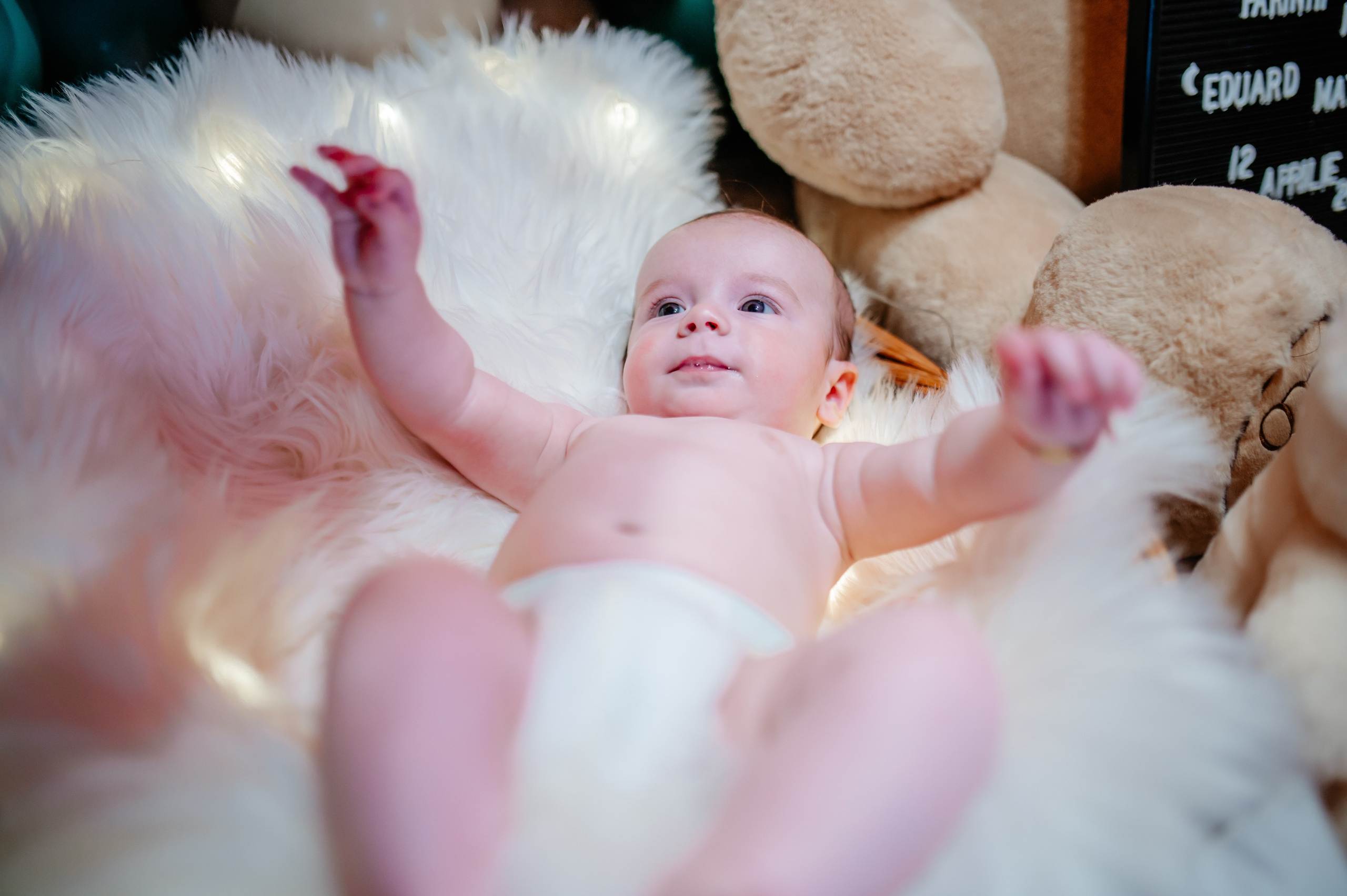 Botez Eduard. Ionut Birceanu