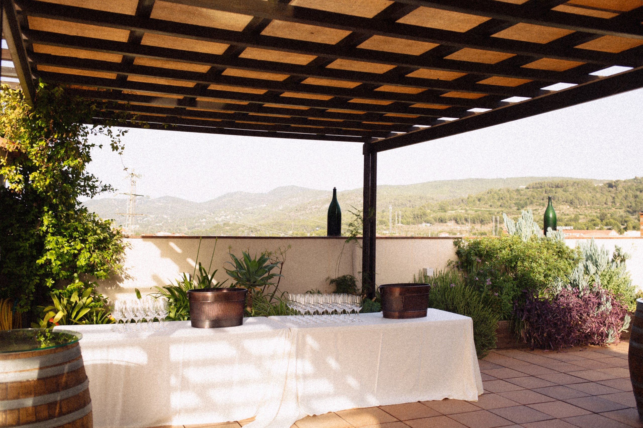 Professional Winery Photography in Barcelona | Visual Storytelling for Wineries. Marina Kálcheva — Photographer, Videographer & Visual Artist in Barcelona