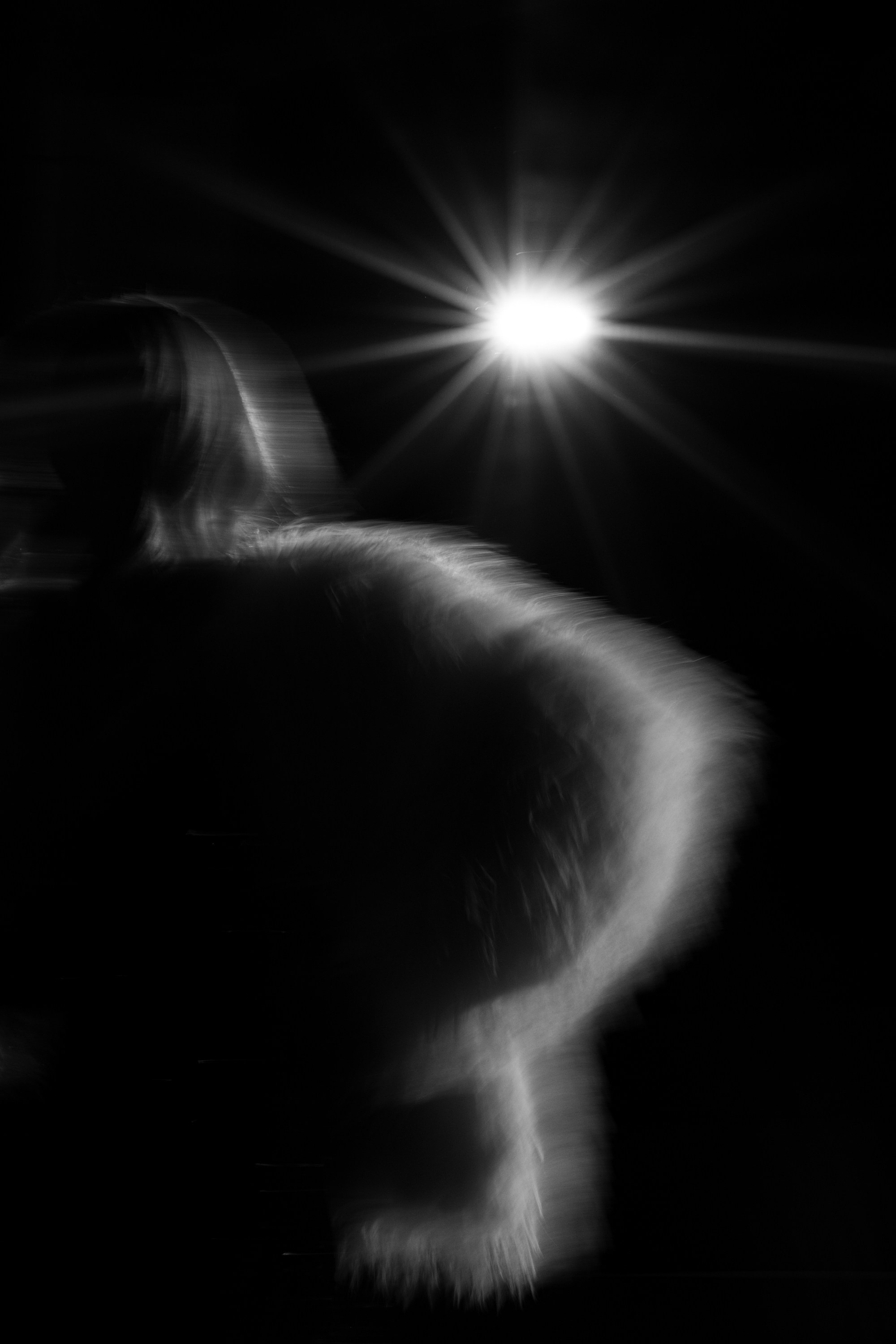 People through my eyes