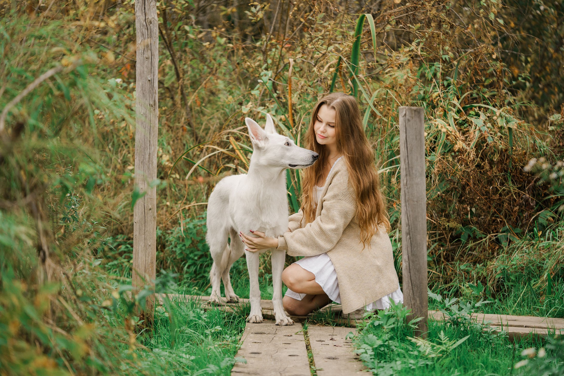 Syksyinen kuvaus rakkaan lemmikin kanssa