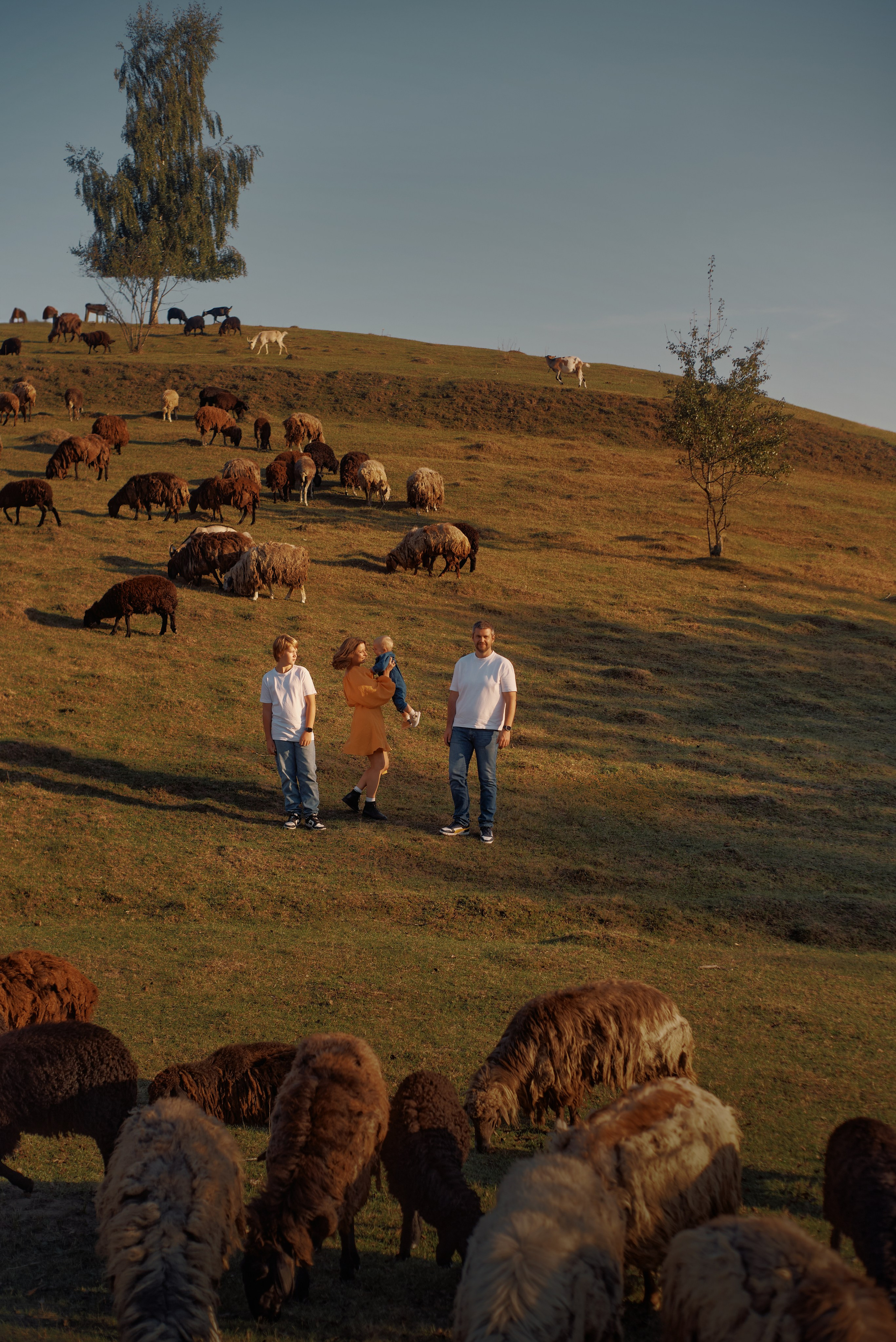 Sesja zdjęciowa na farmie z owcami | Fotograf Warszawa. Portrait & Fashion Photographer | Сannes, Paris, Monaco, Dubai, Kyiv — - Alisa Postnykova