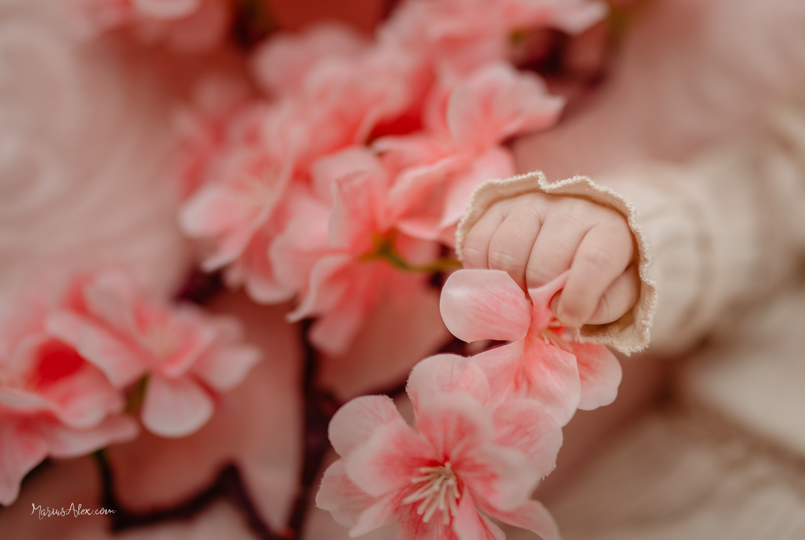 Botezul micutei Melania Selena. Marius Alex fotograf de eveniment si portret din Suceava