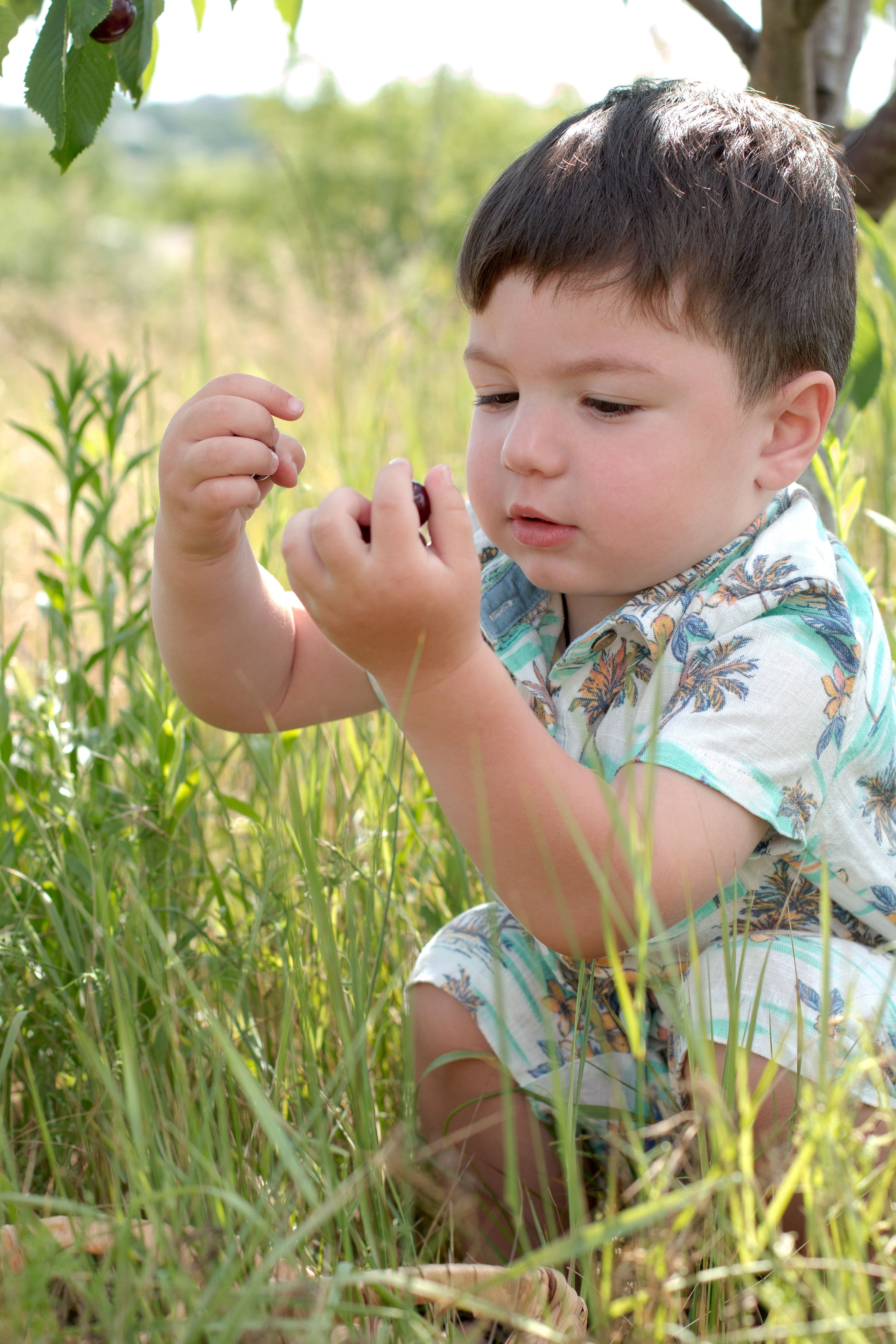 Черешня. Детский и семейный фотограф в г. Бельцы