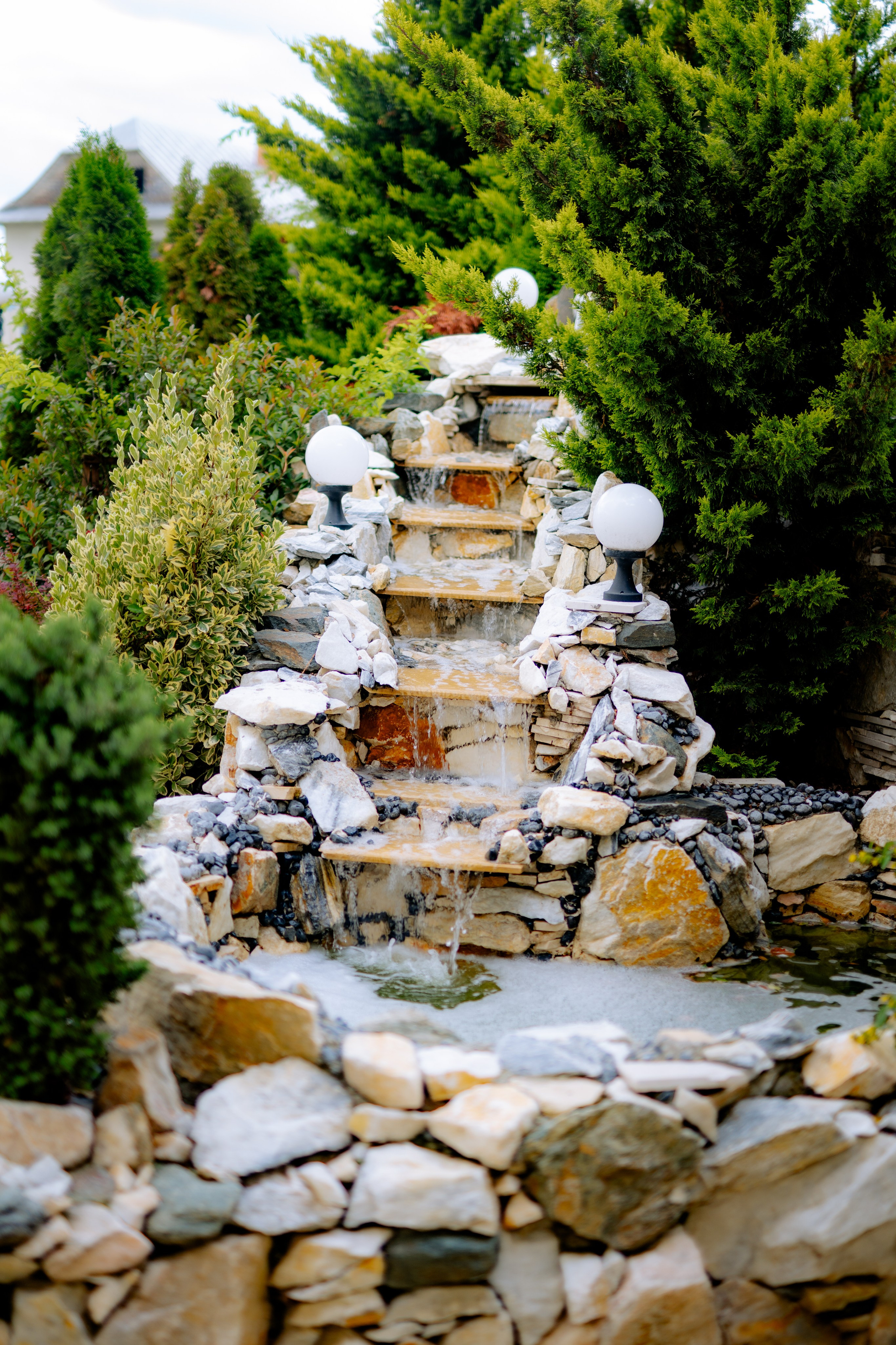 Cristina - Narcis | Targu Neamt