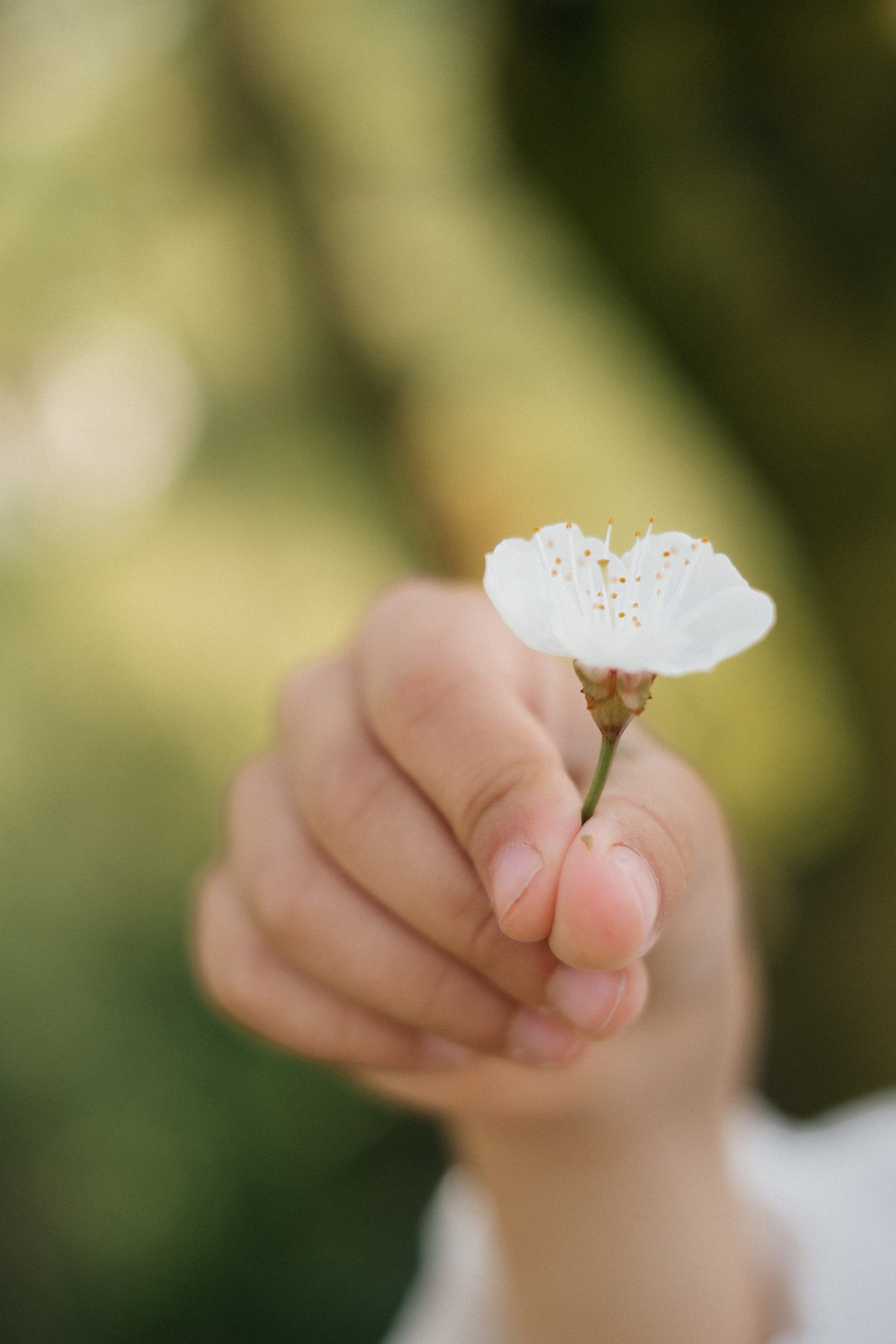 🌸🌸🌸. Весільний фотограф Вікторія Саврук