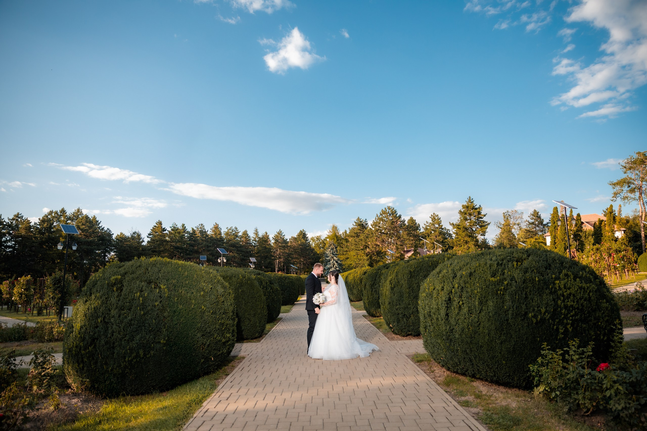 servicii foto. servicii foto Botoșani. servicii foto video Botoșani. fotograf nunta. fotograf evenimente. fotograf nunta Botoșani. Alin chirila. Alin chirila fotograf. Alinofotostudio.- Mire și mireasă – Sergiu & Liliana – ziua nunții, 2024  - Emoții în ziua nunții – Sergiu și Liliana  - Dansul mirilor – fotografie artistică nuntă 2024  - Sedinta foto romantică în natură – Sergiu & Liliana  - Rochia de mireasă și detalii de nuntă elegante