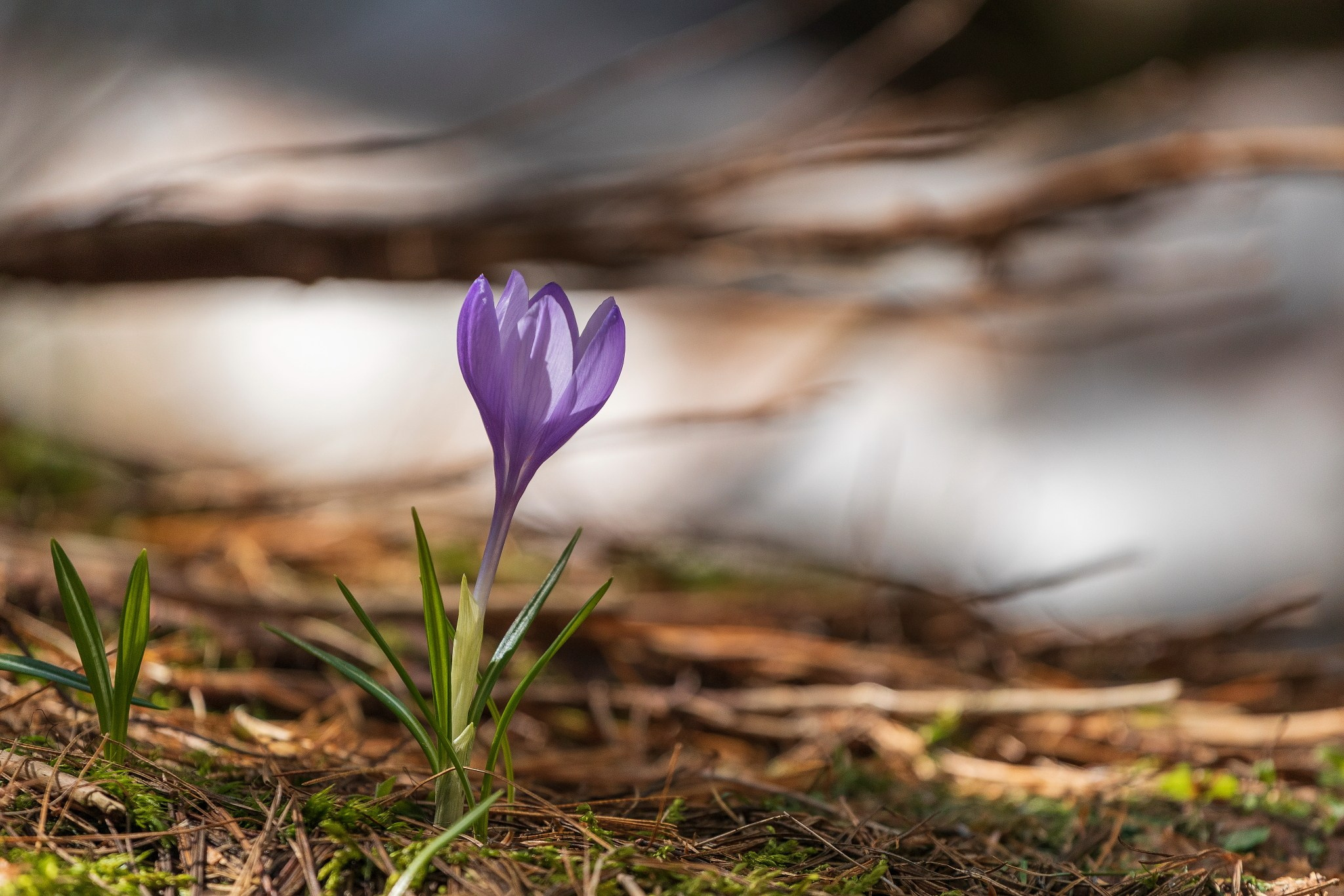 Планини. Александър Сандев - личен сайт на фотографа