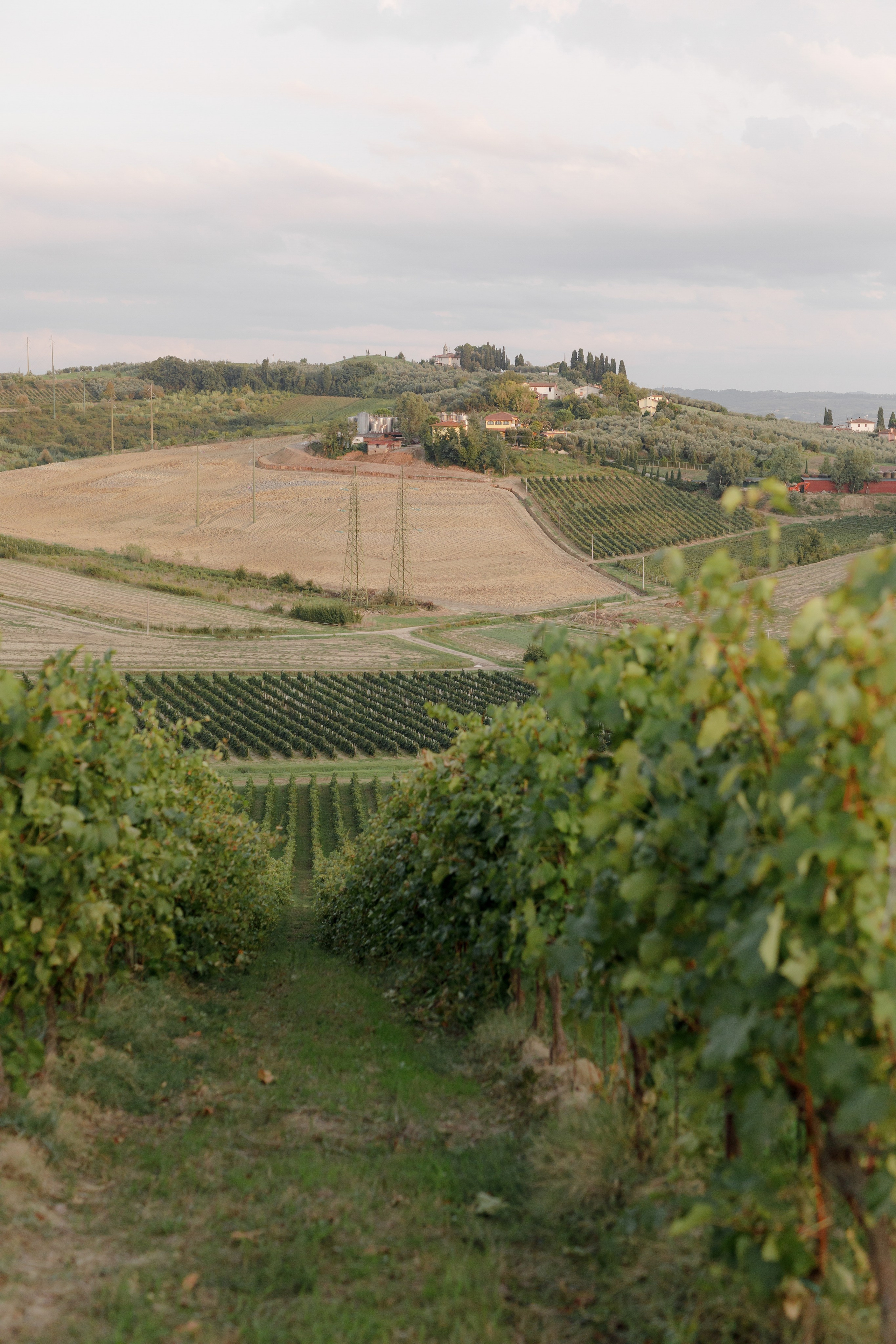 Dom&Ally. Wedding photographer Italy