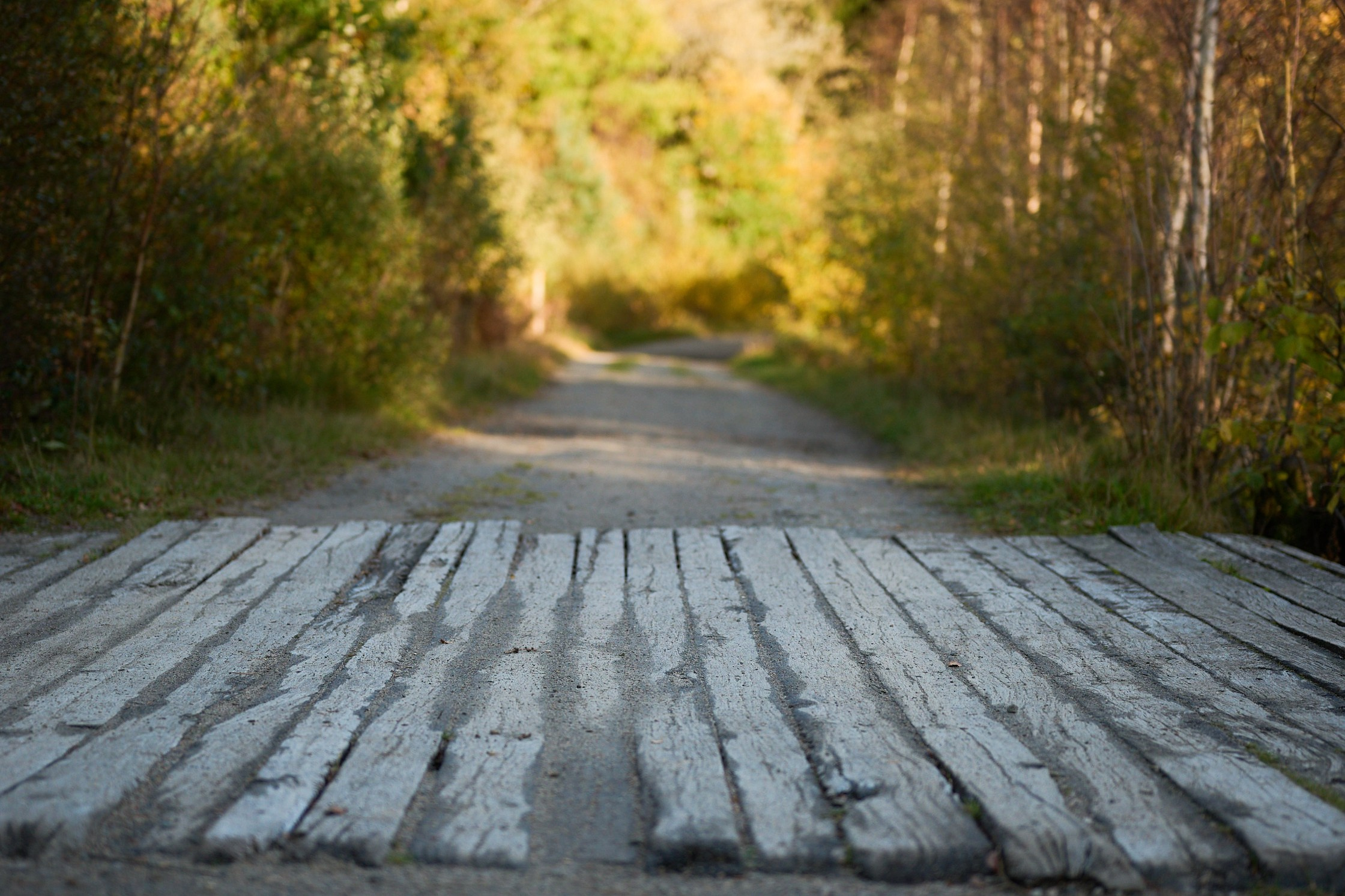 Landscapes by Yury Popkov. Yuri Popkov | Photographer