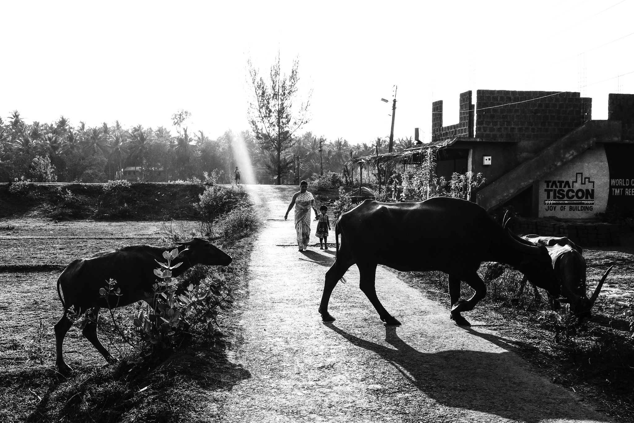 Reportage. Murat Bostan Fotografie für Events, kleine Hochzeiten und Portraitfotografie