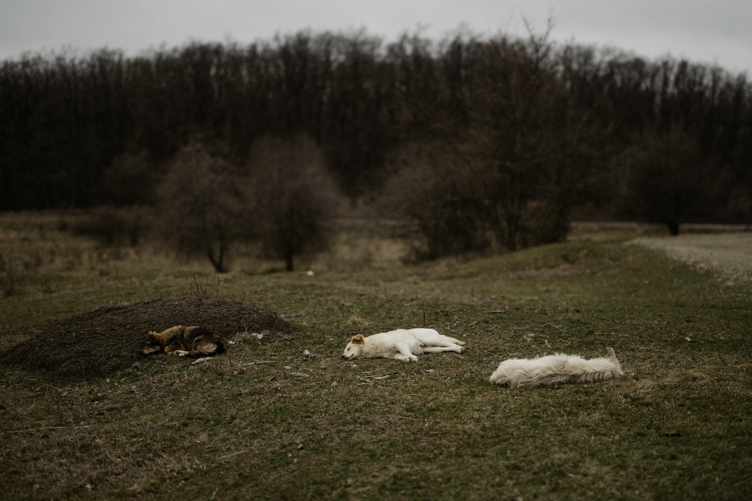 Nadia, march 2025. Adrian Aioanei — Fotograf profesionist de nuntă în Iași, Suceava și București. Specializat în evenimente, portrete și fine art