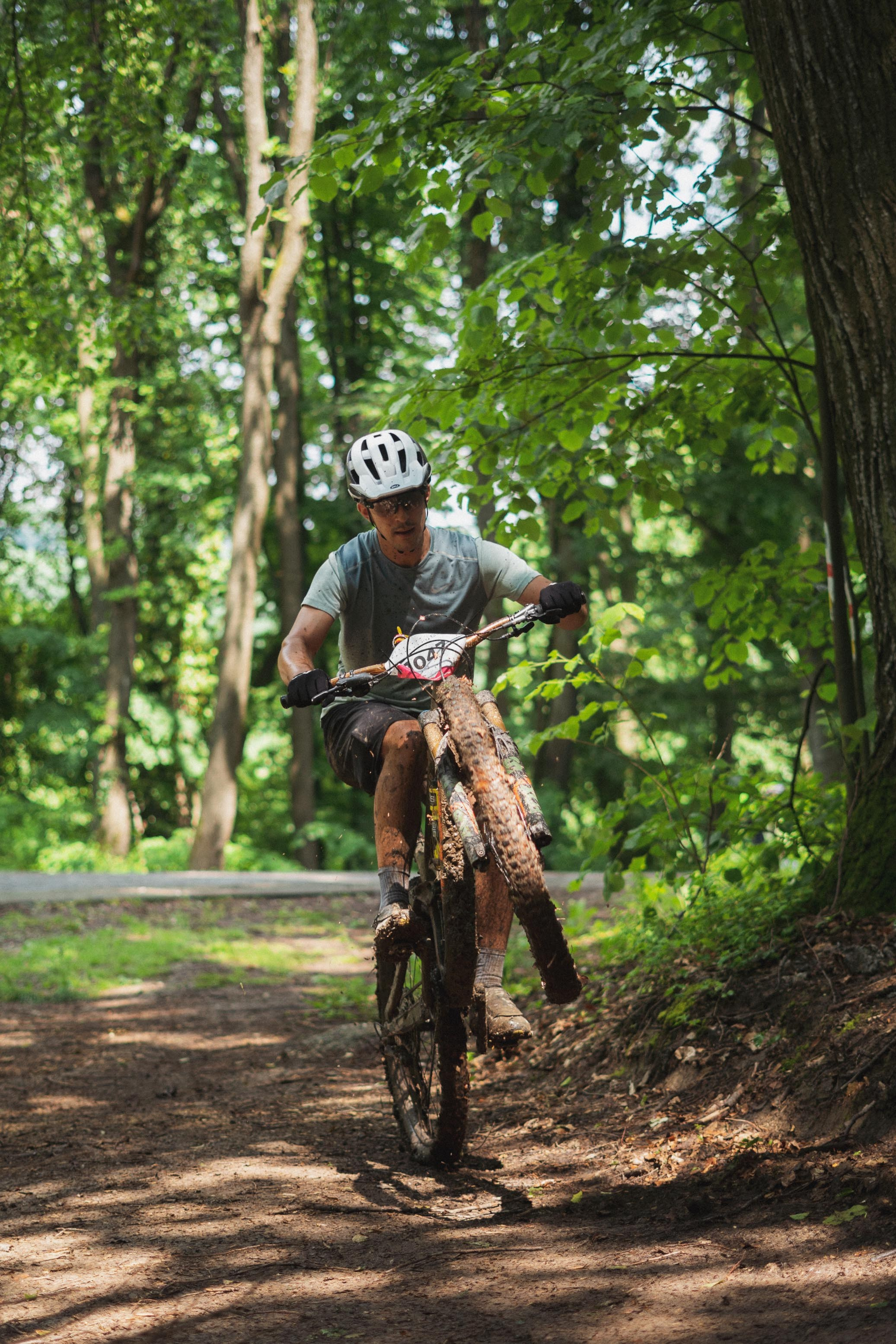 Tour de Fruska. Zhukov studio