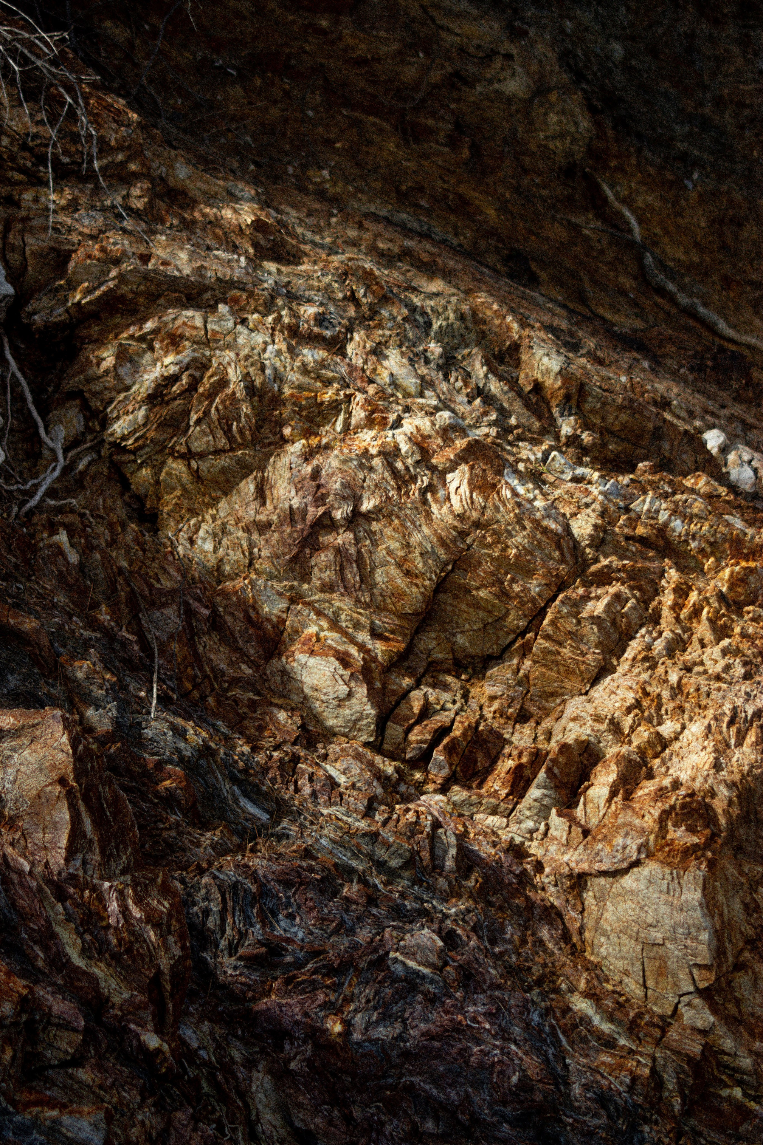 Anse Magaud, Cap Brun, Toulon. Photographe à la Seyne sur Mer, Var