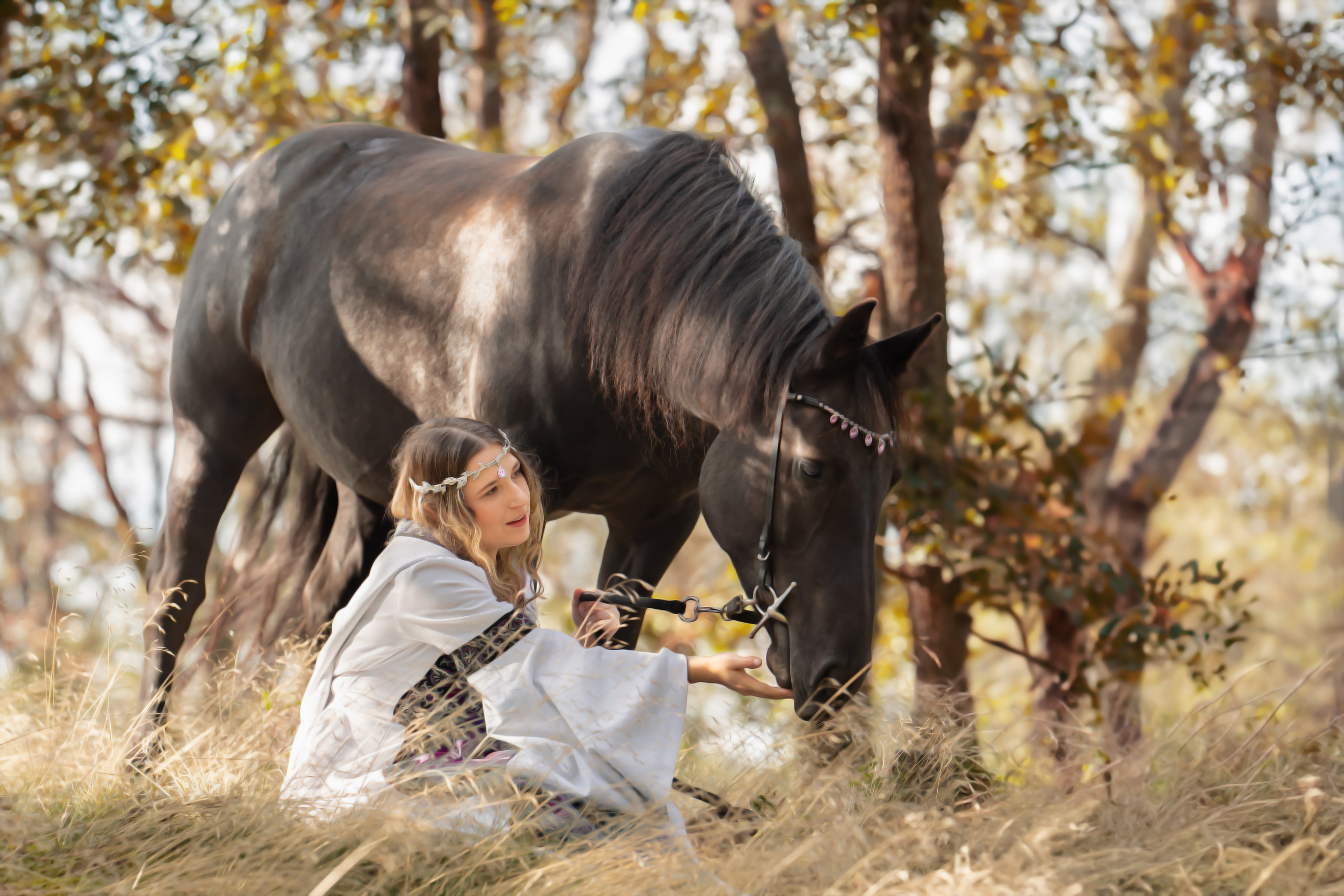 Geschichten mit dem Pferden. Kinder und Familienfotografie Wittlich und Trier Umgebung