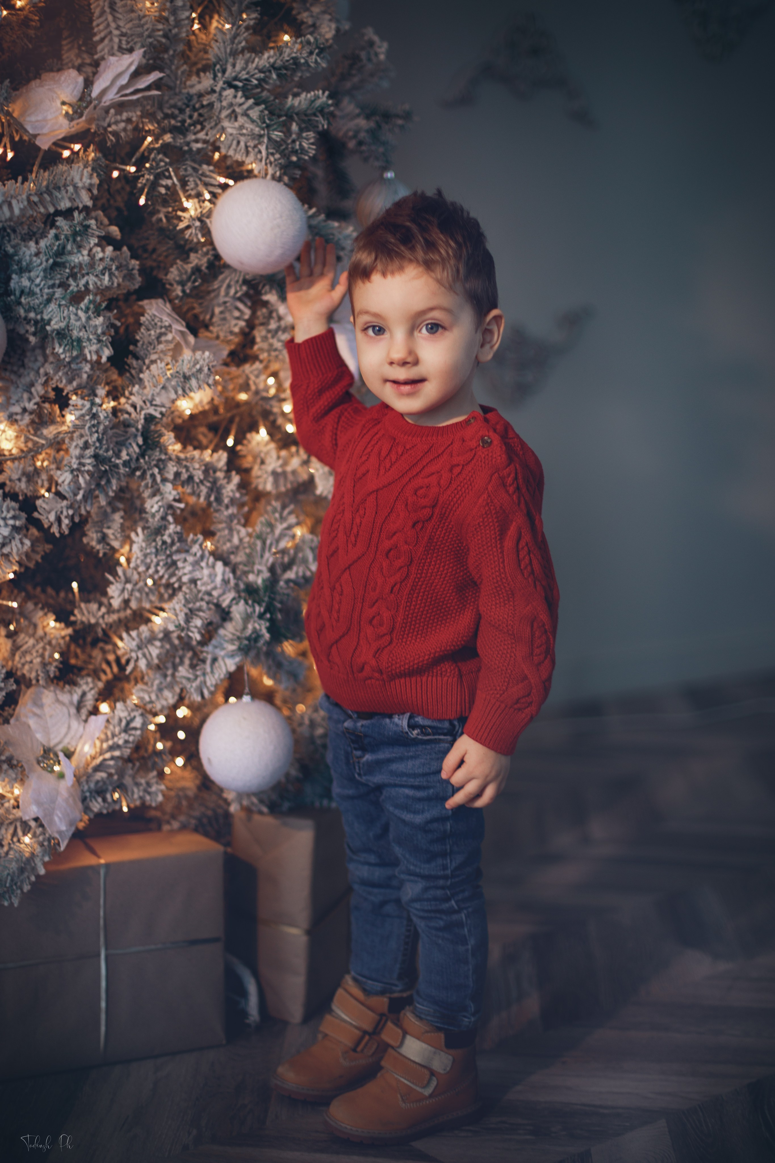 Christmas Time. Wedding, Family Photographer