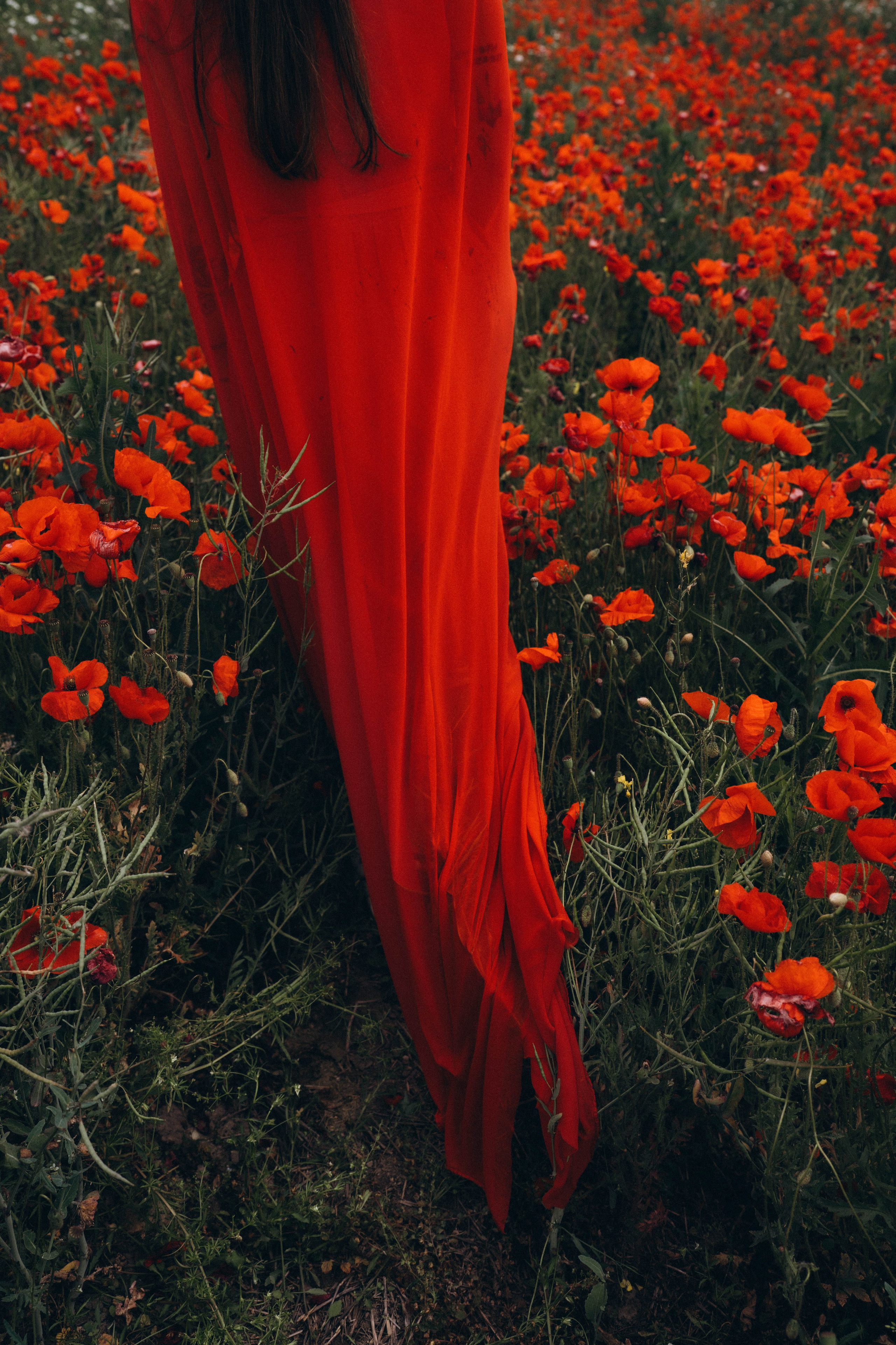 Mák. Fotograf Teplice // Alexandra Ribola