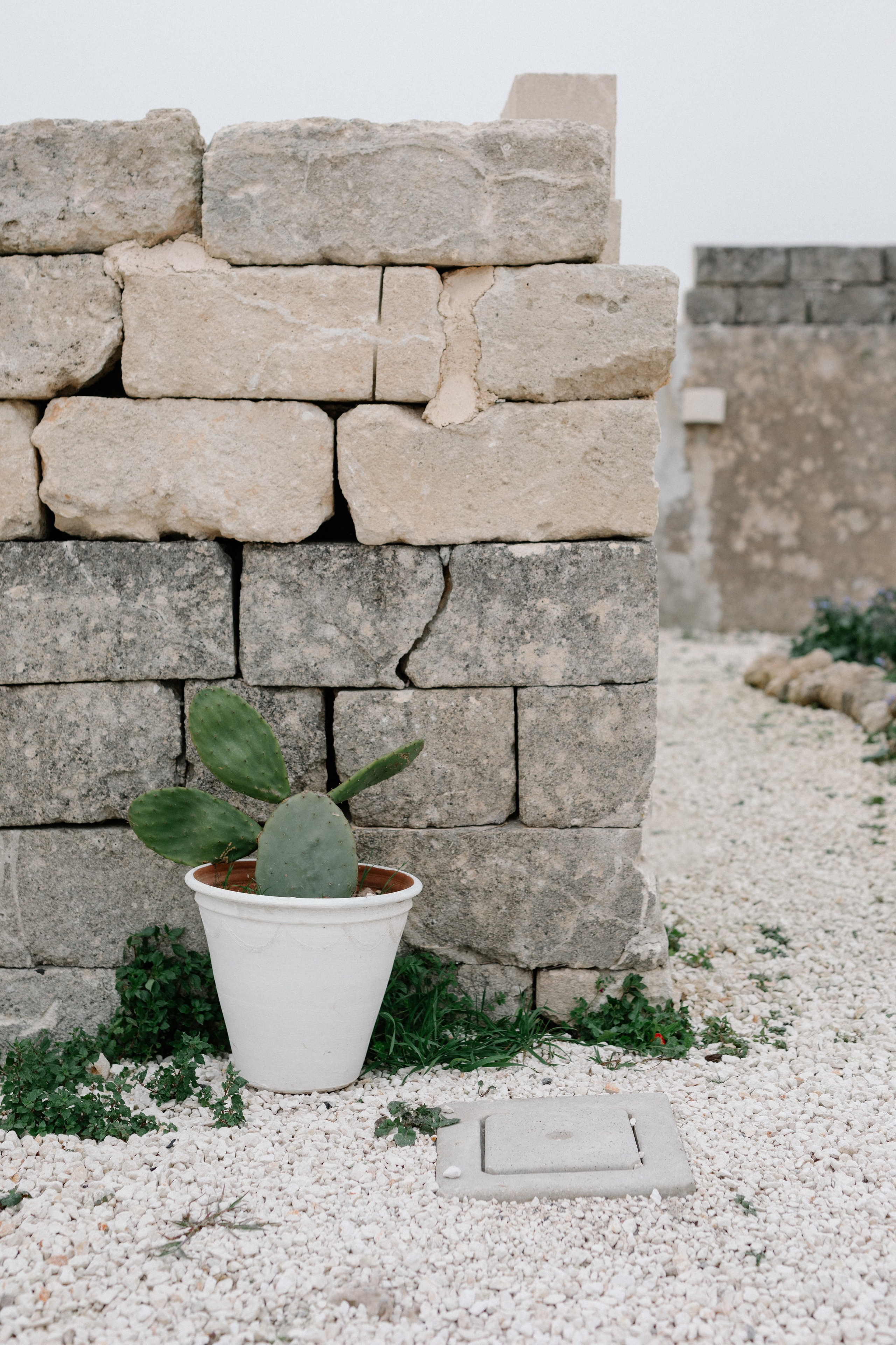 Alyssa&Sean. Весільний фотограф Вікторія Саврук
