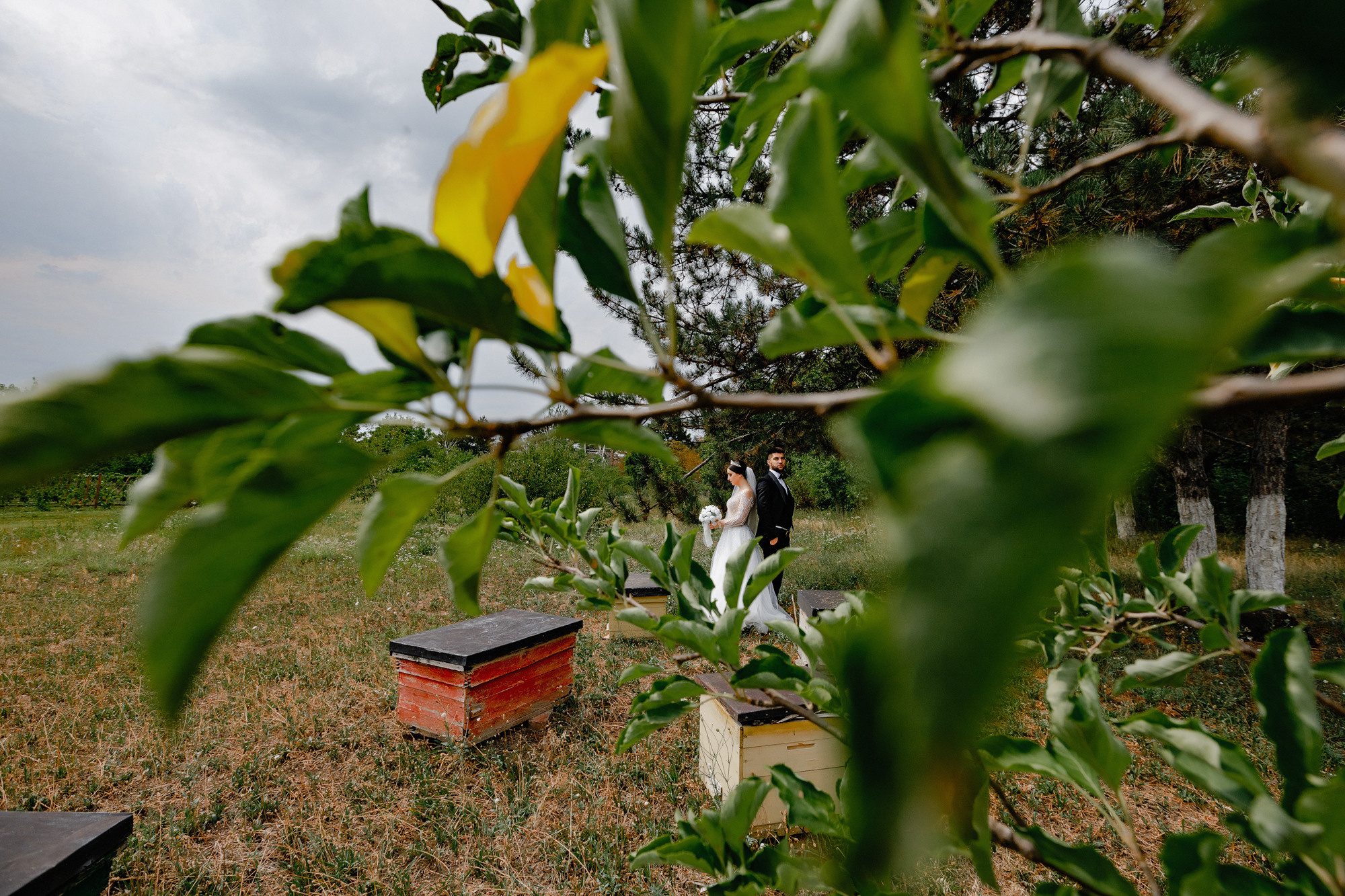Stefan — Roxana. Fotograf și videograf de nuntă R. Moldova, Romania