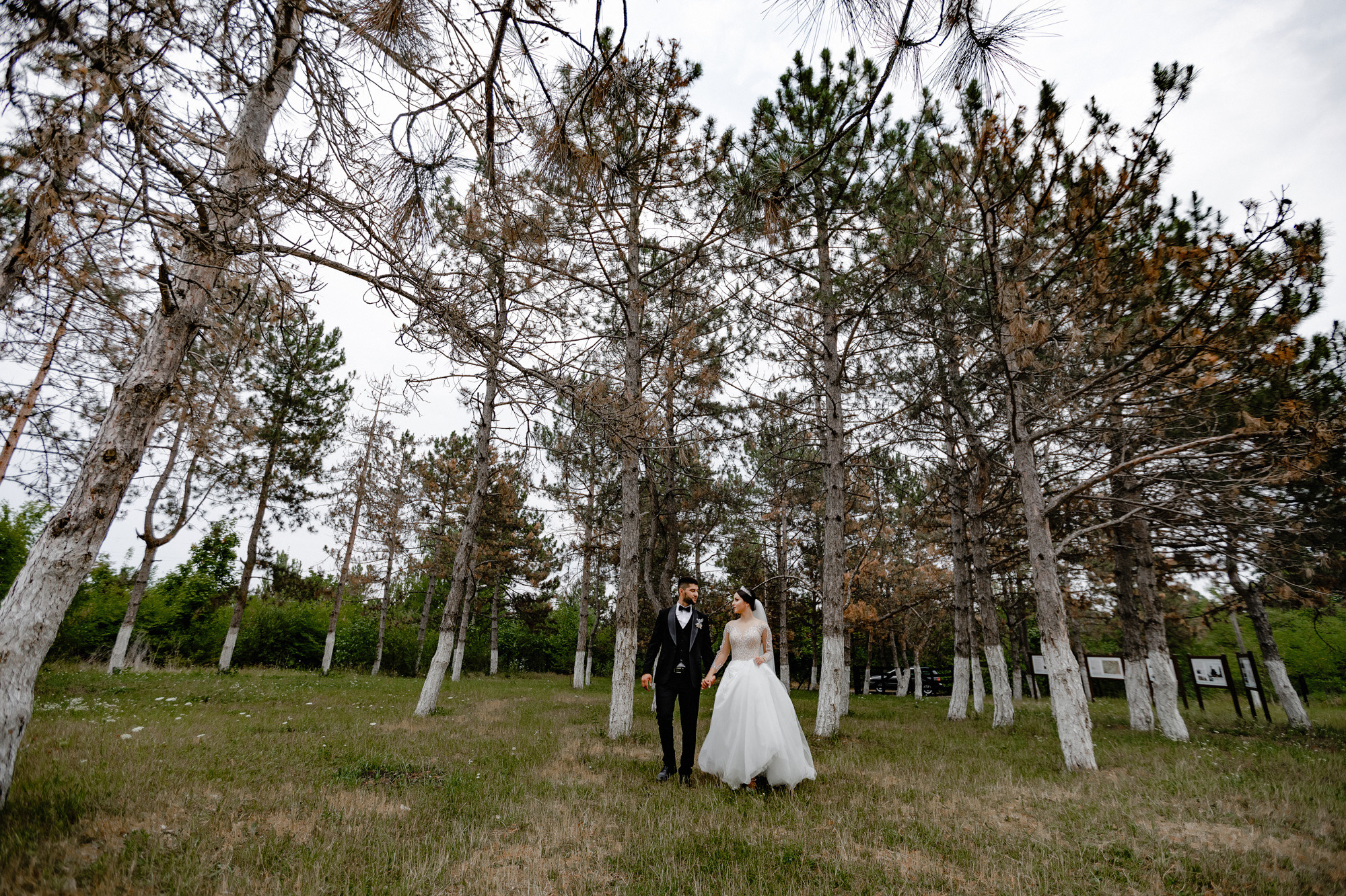Stefan — Roxana. Fotograf și videograf de nuntă R. Moldova, Romania