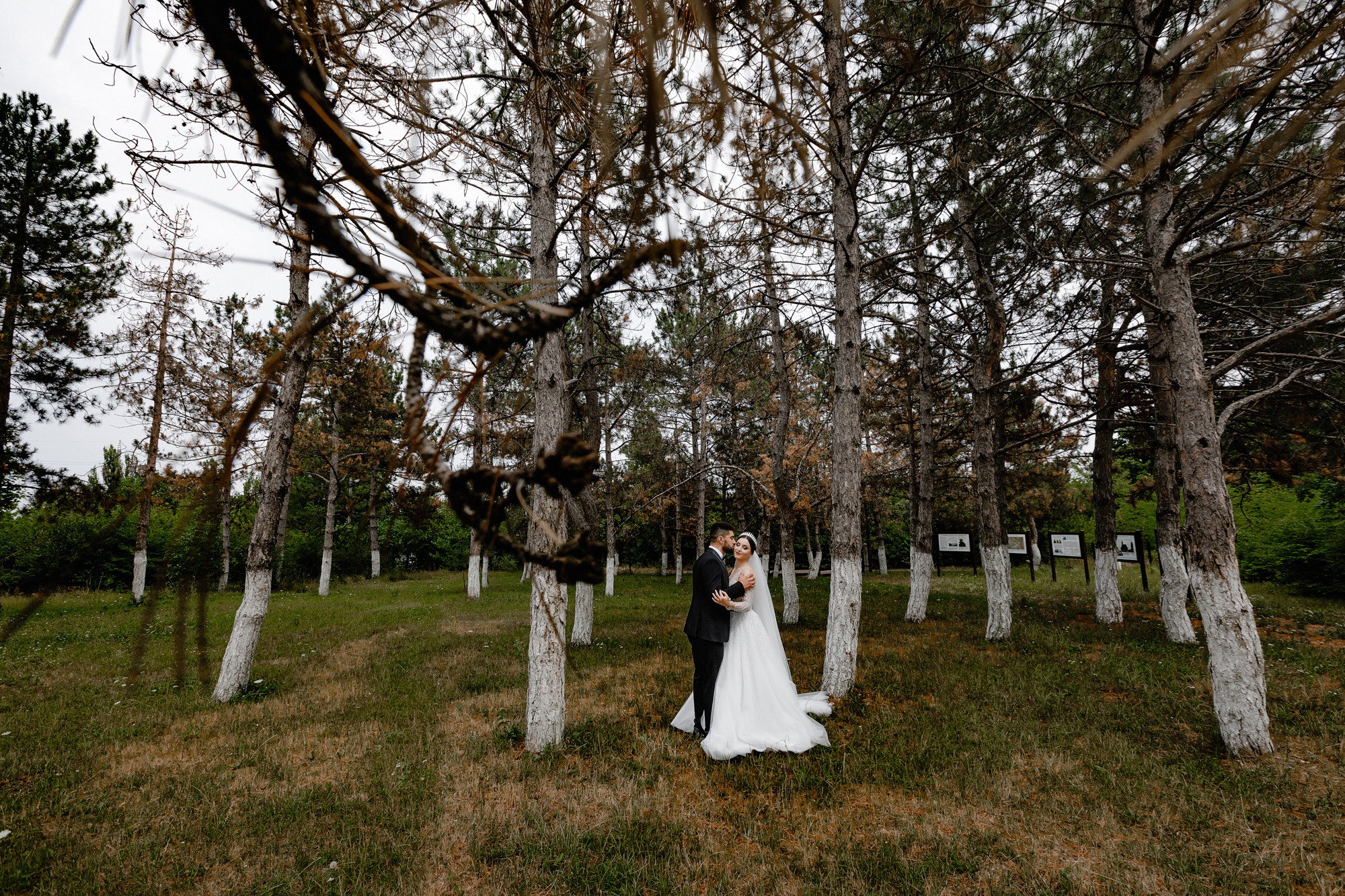 Stefan — Roxana. Fotograf și videograf de nuntă R. Moldova, Romania