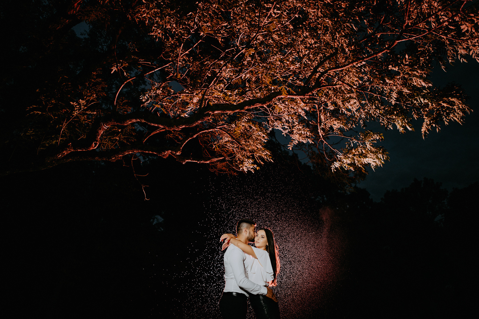 Stefan — Roxana. Fotograf și videograf de nuntă R. Moldova, Romania