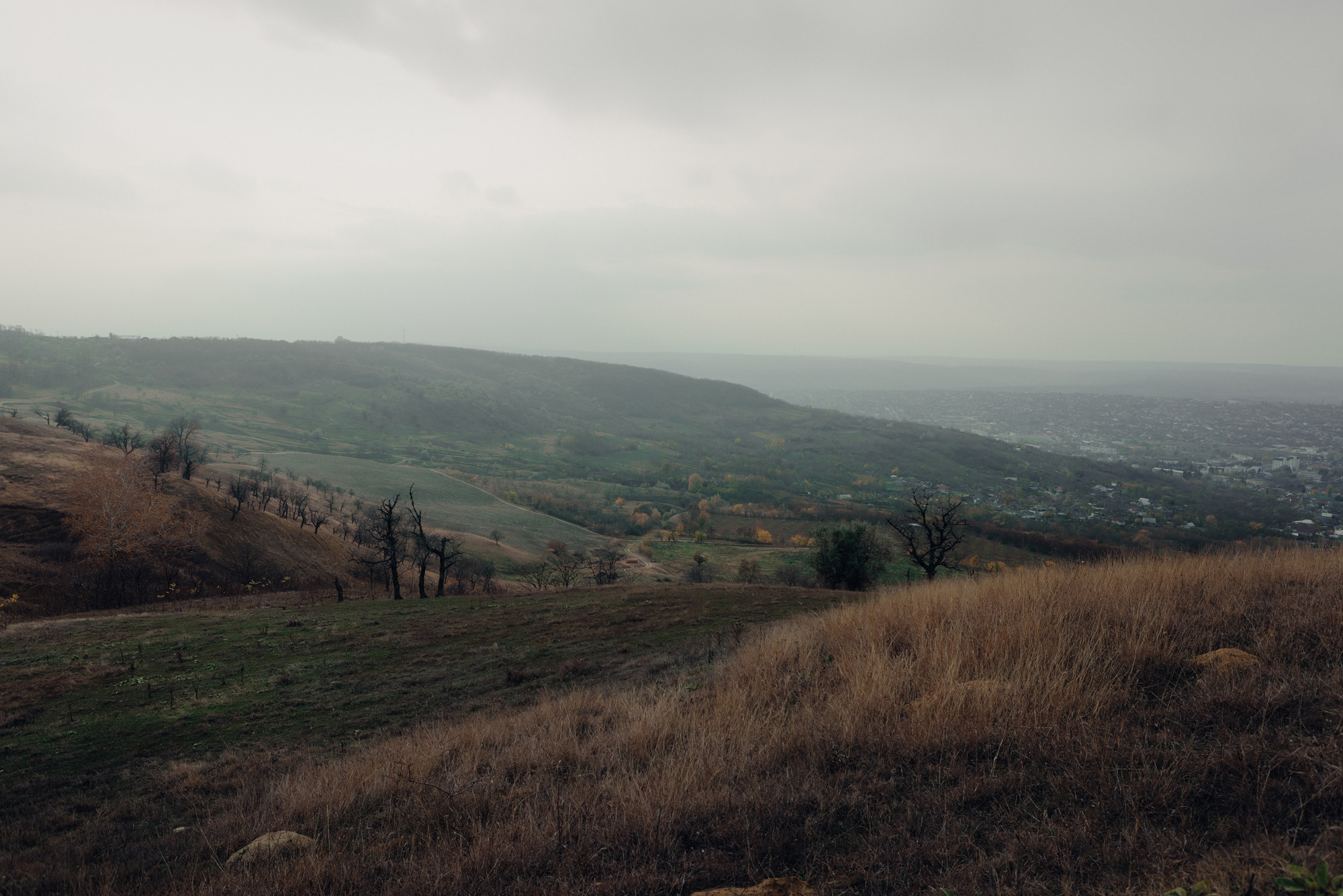 Grigore — Ana. Fotograf și videograf de nuntă R. Moldova, Romania
