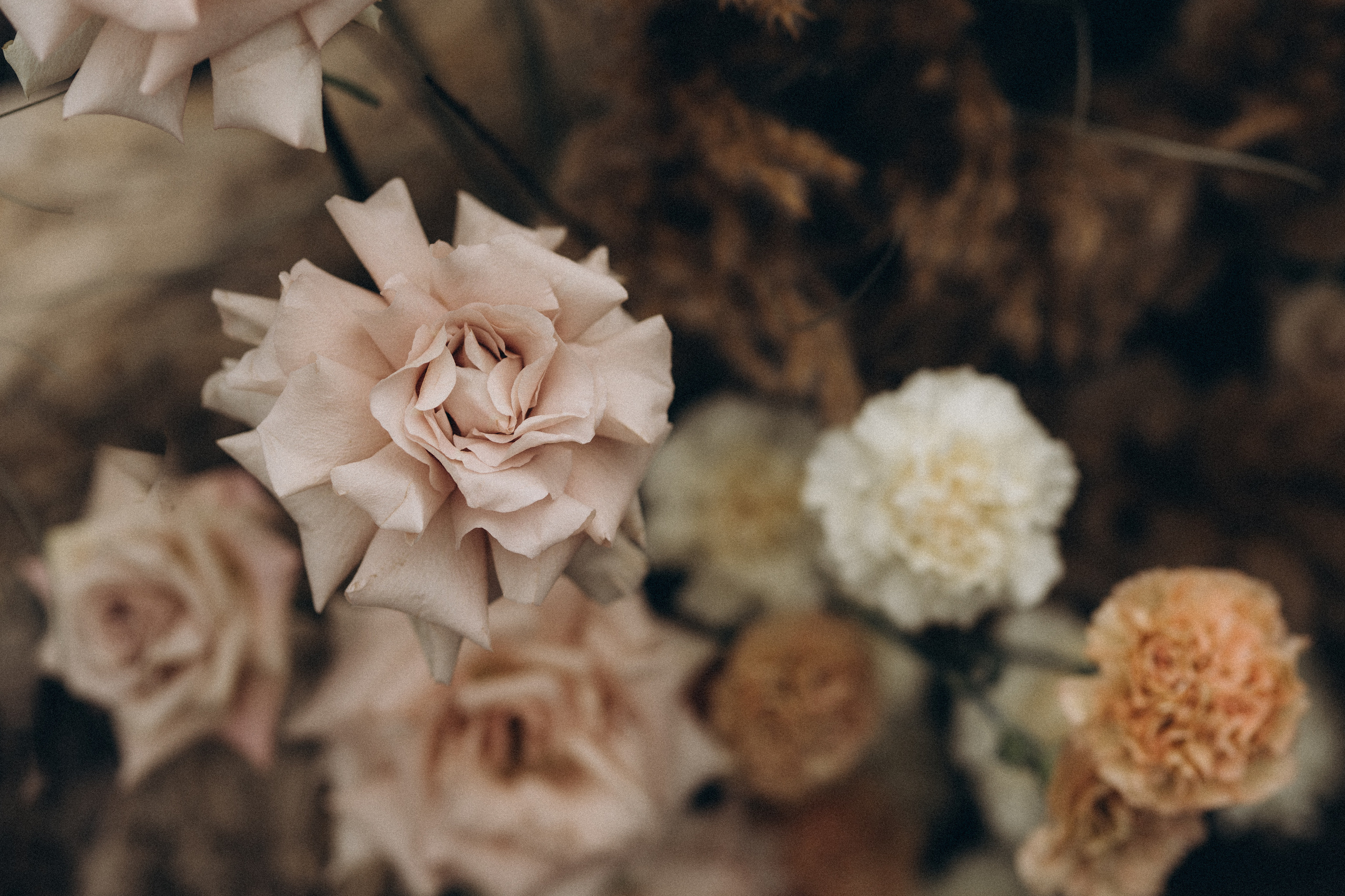 Magda. Wedding and portrait photographer in Helsinki Vickan O