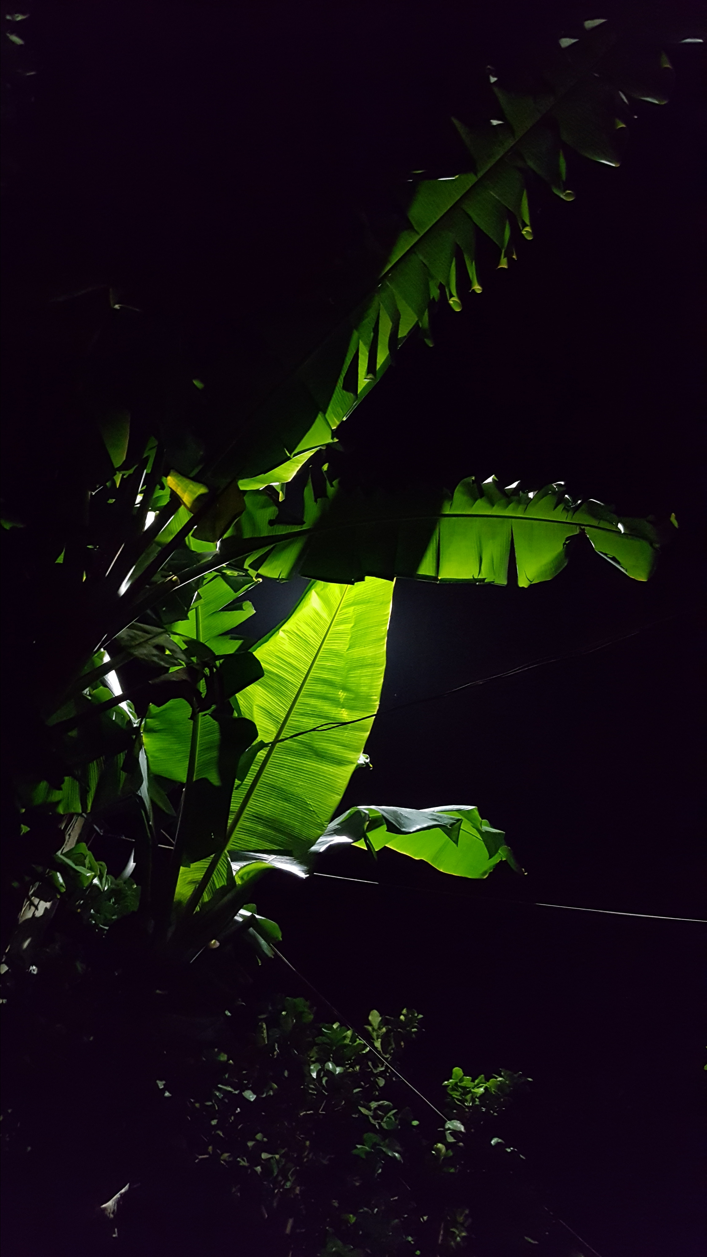 NATURE MORTE et VIVANTE. Natalia Bogdanovska. Films et photographie corporate en France