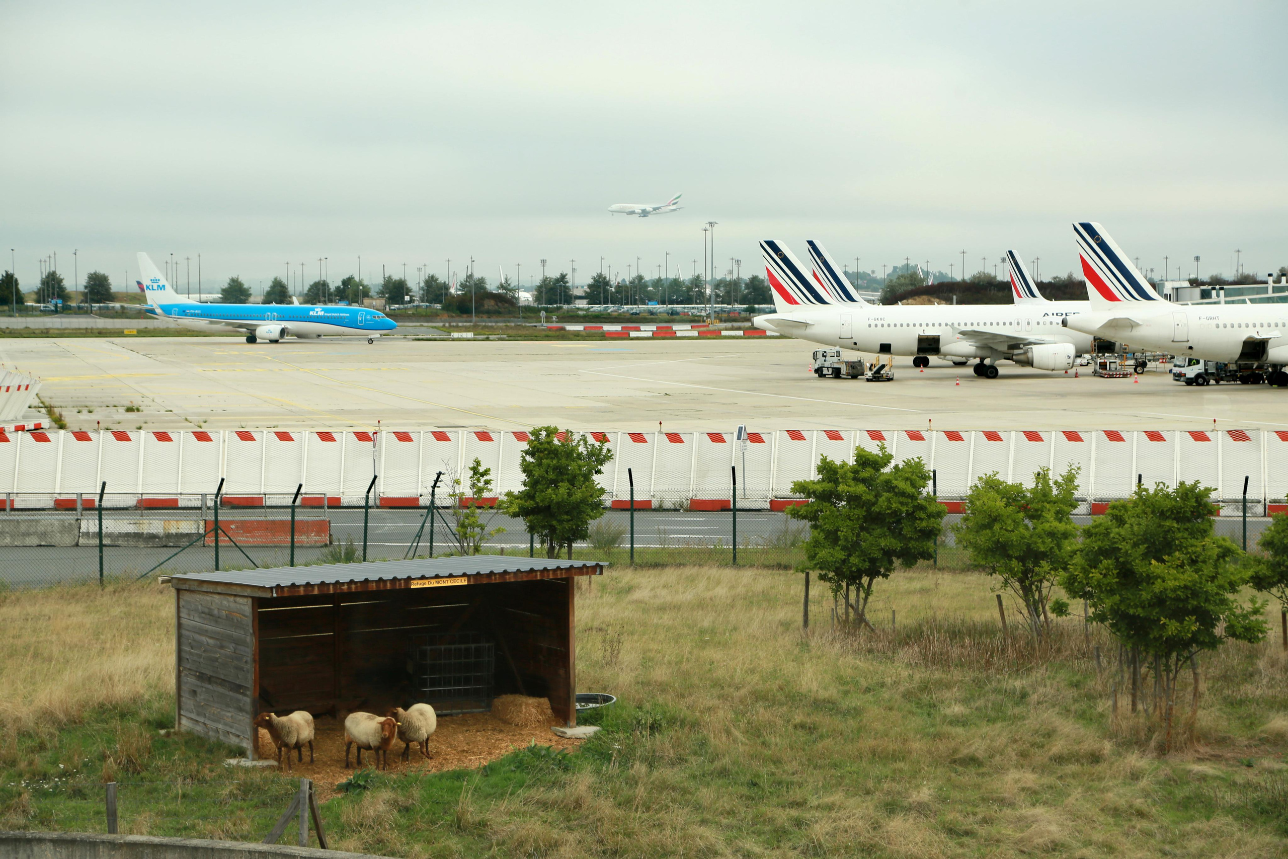 Natalia Bogdanovska. Films et photographie corporate en France