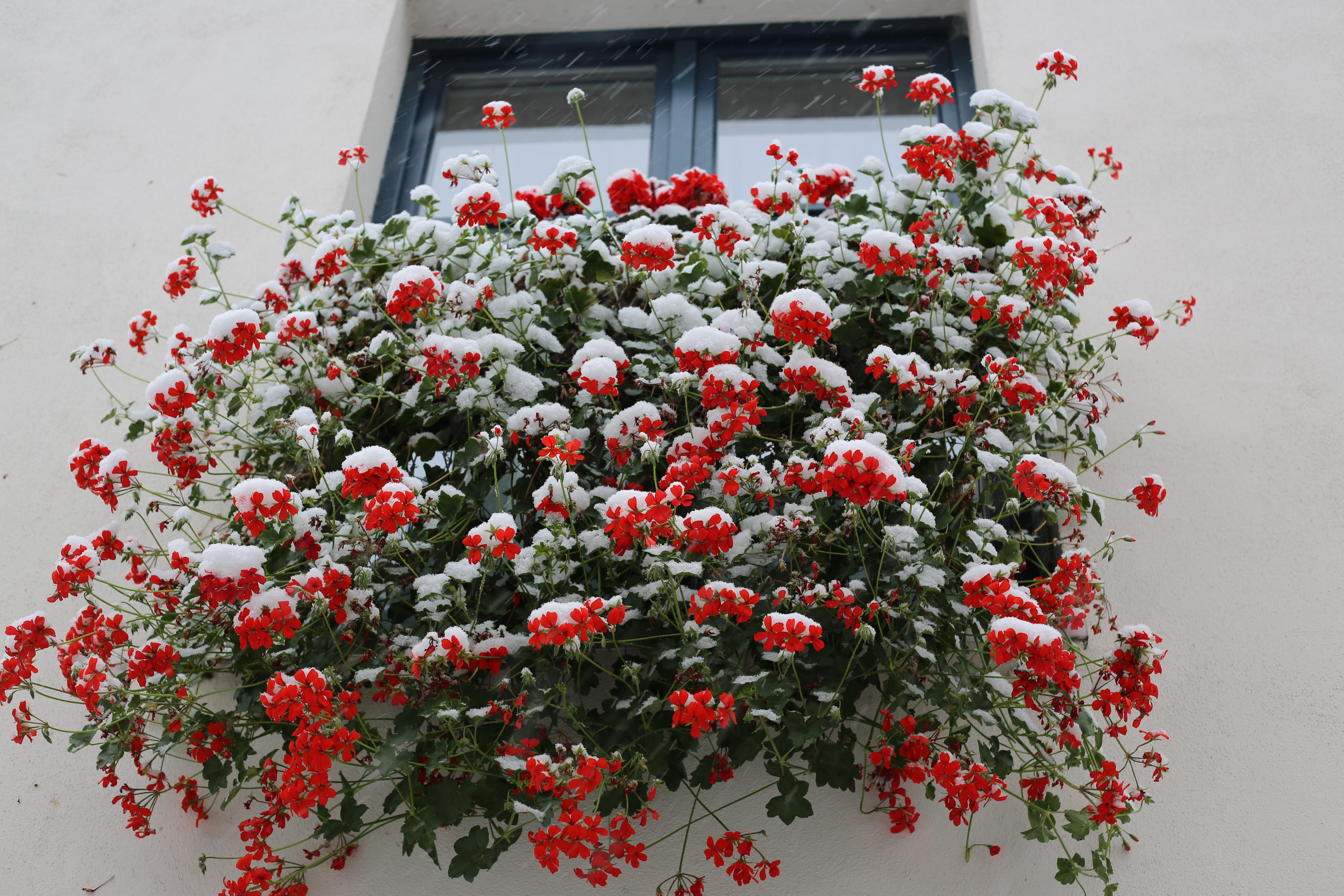 NATURE MORTE et VIVANTE. Natalia Bogdanovska. Films et photographie corporate en France