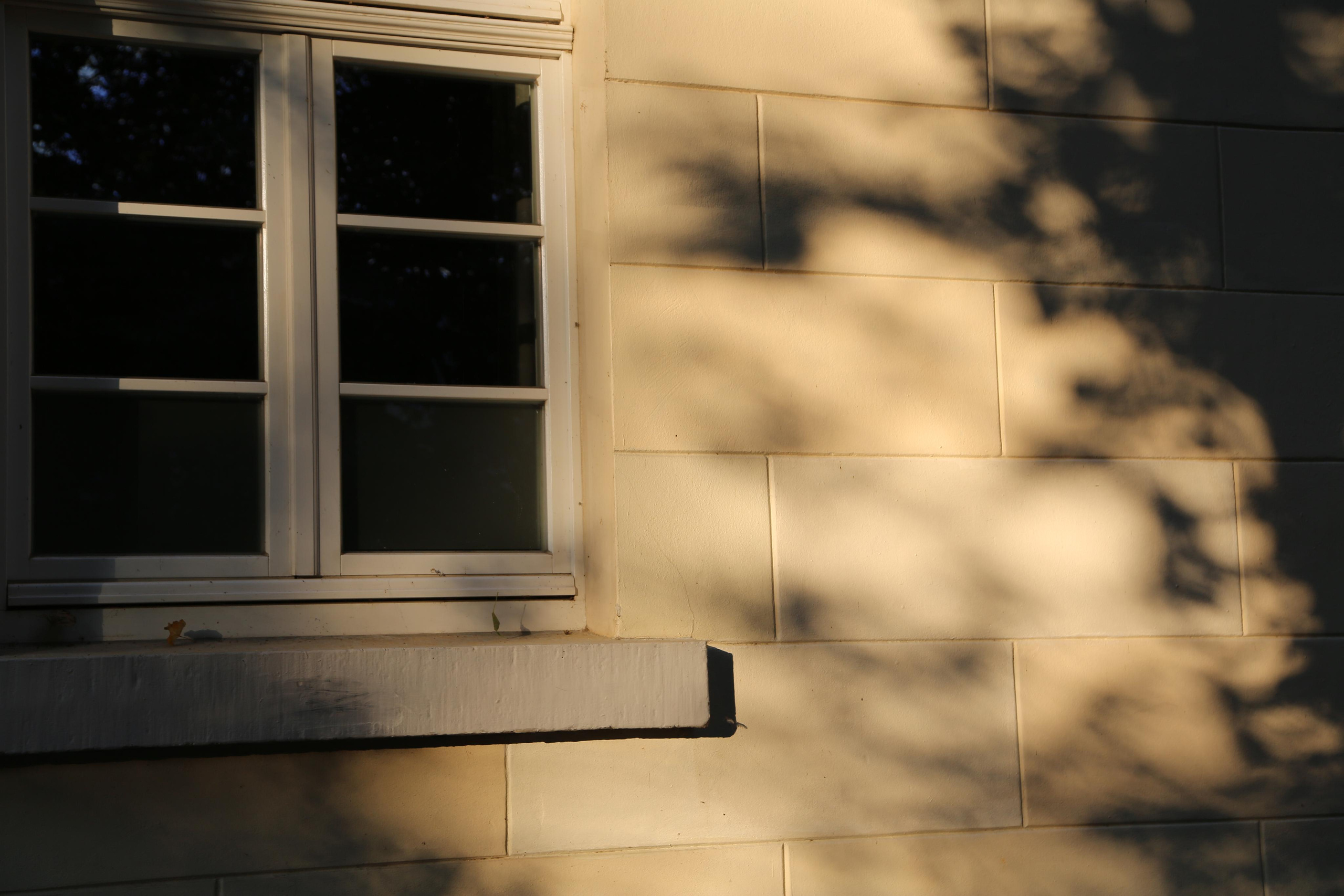 NATURE MORTE et VIVANTE. Natalia Bogdanovska. Films et photographie corporate en France