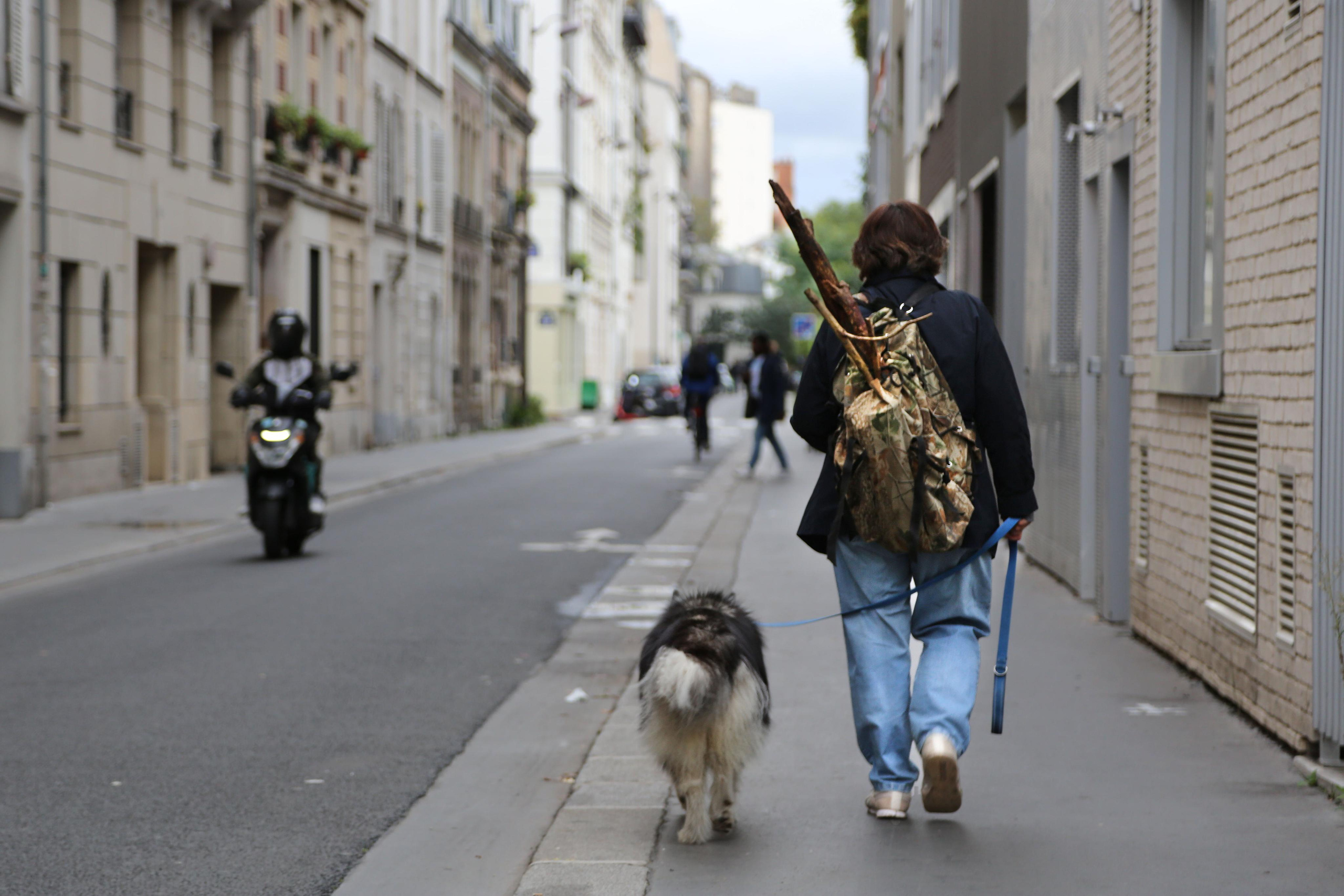 Natalia Bogdanovska. Films et photographie corporate en France